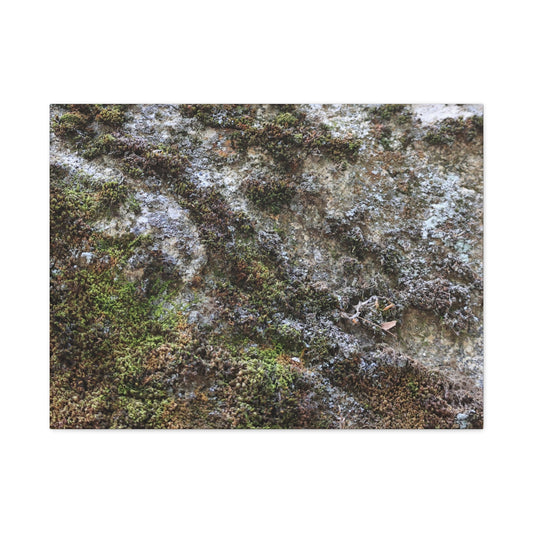 Moss Tapestry - Unique Frameless Canvas Wall Art - Art By Earth