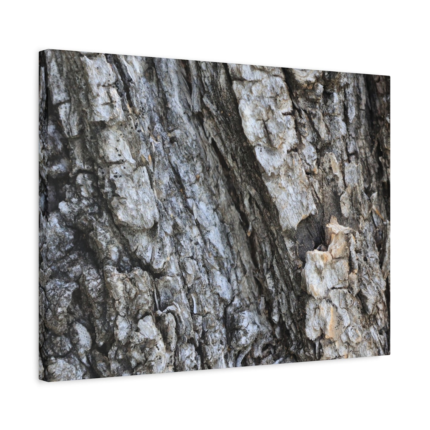 Nature's Rough Embrace - Unique Frameless Canvas Wall Art