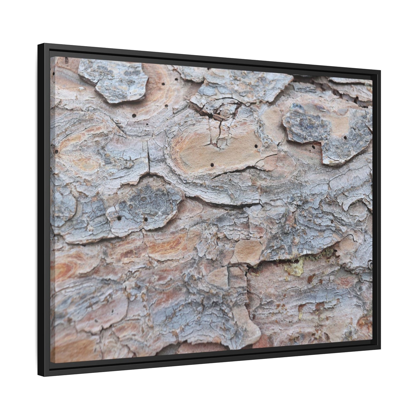 Peeling Memories - Unique Stretched Canvas Wall Art