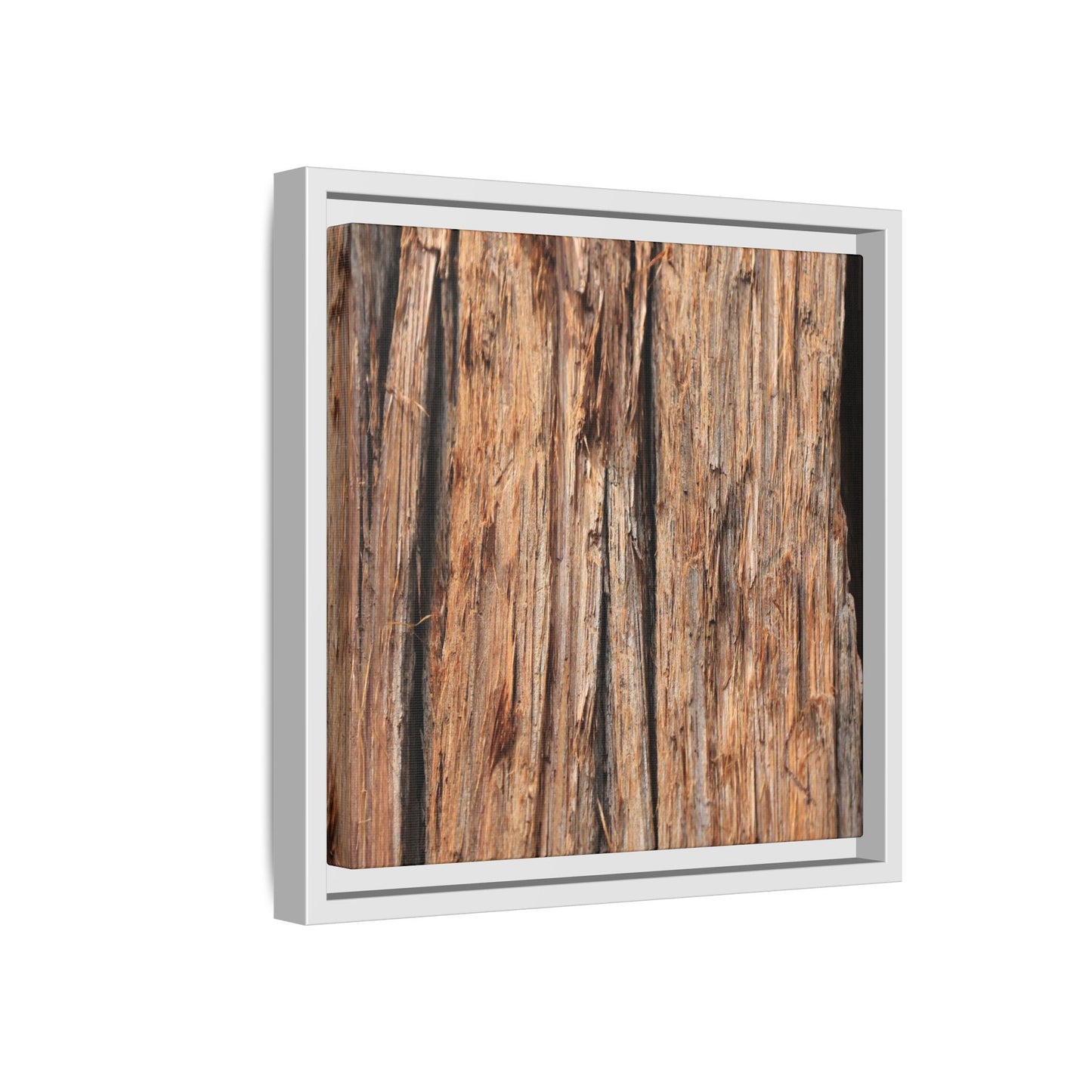 Timber Echoes - Unique Stretched Canvas Wall Art