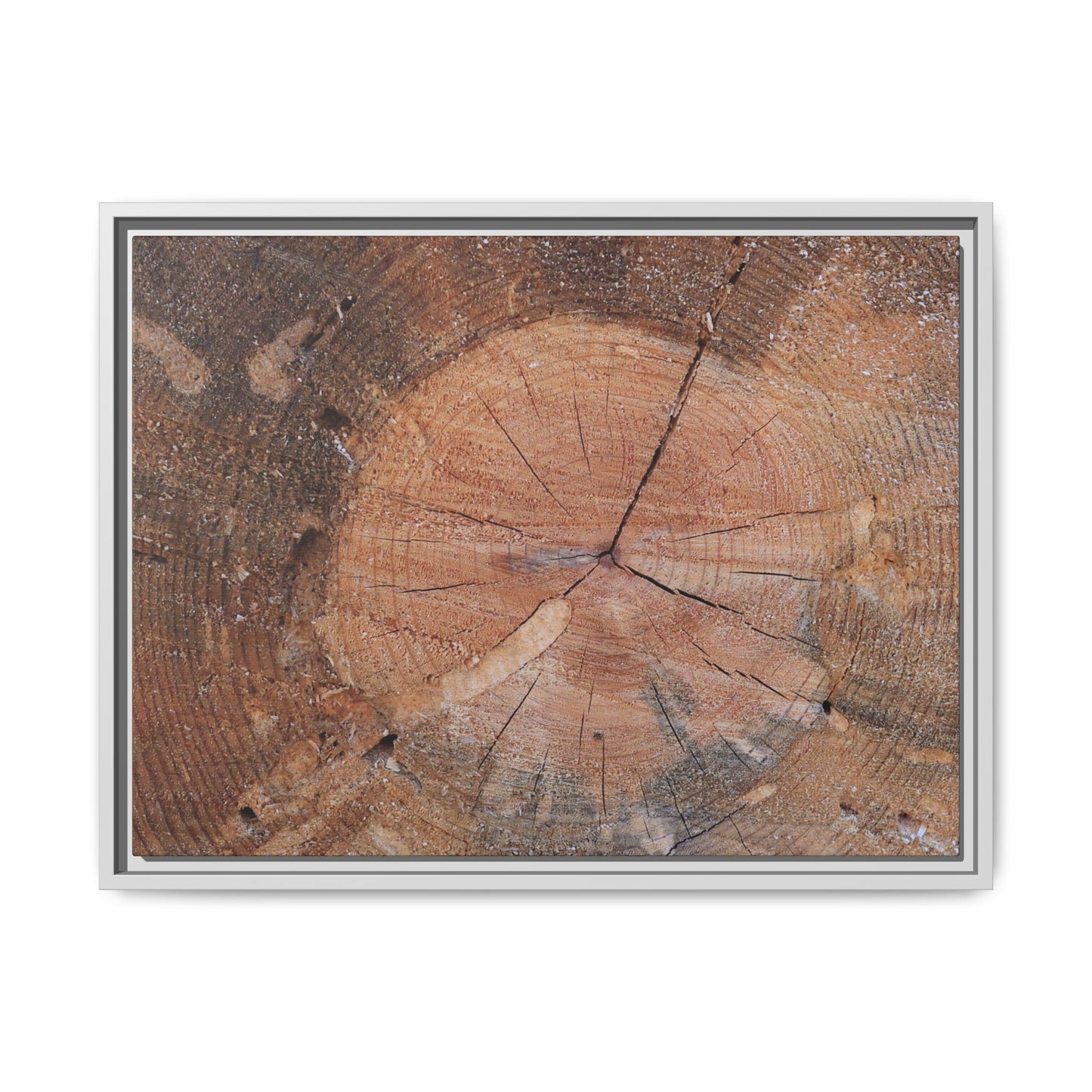 Concentric Memories - Unique Stretched Canvas Wall Art