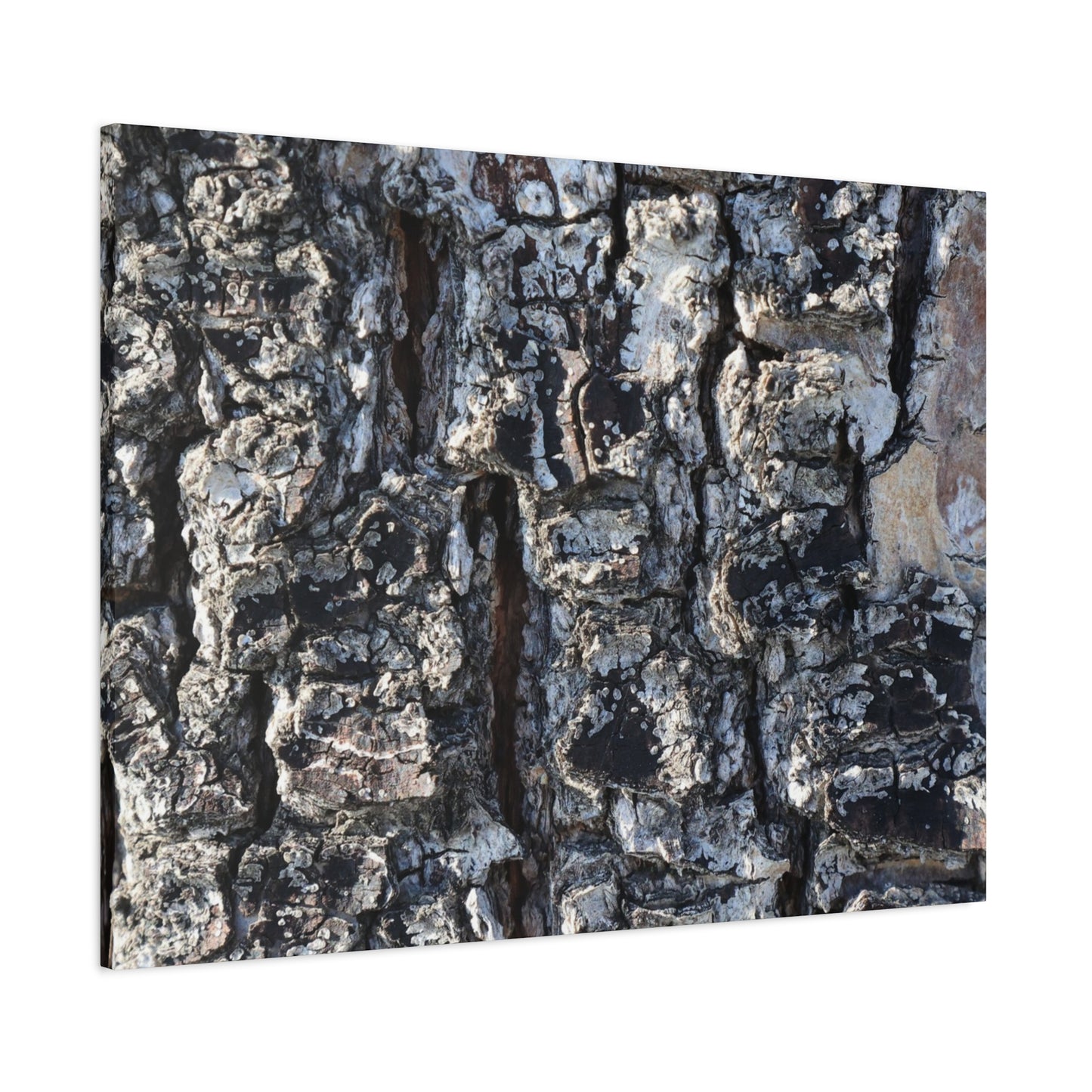 Textured Whispers of the Ancient Tree - Unique Frameless Canvas Wall Art