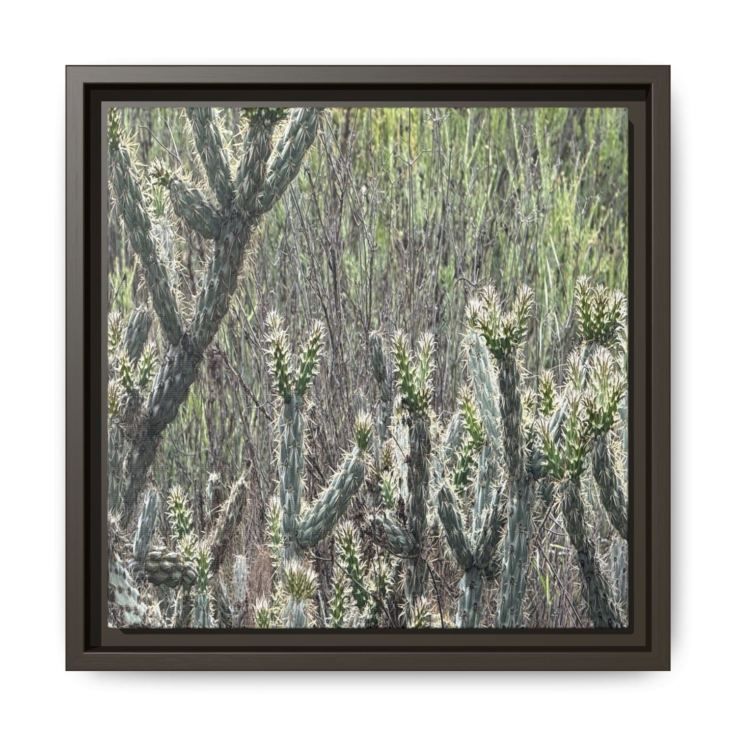 Prickly Paradise - Unique Stretched Canvas Wall Art