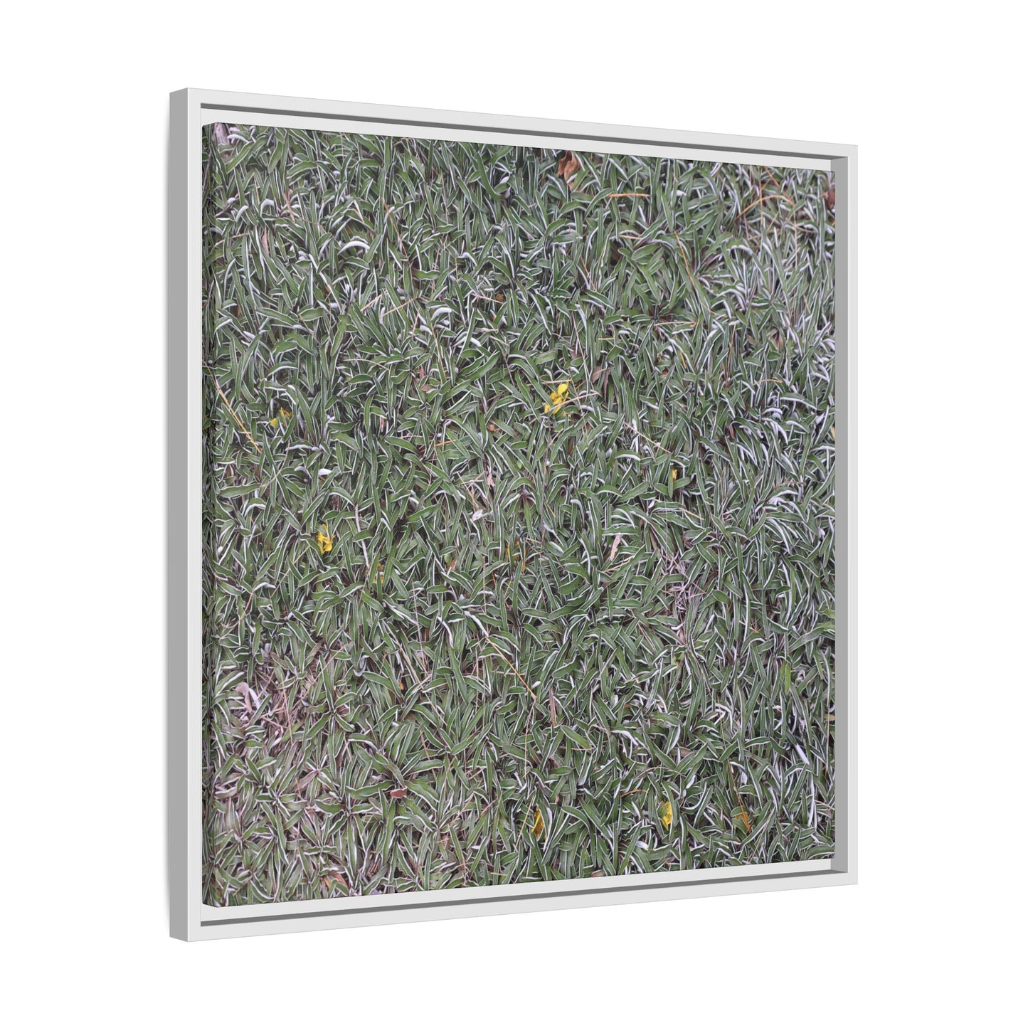 Grassy Texture - Unique Stretched Canvas Wall Art