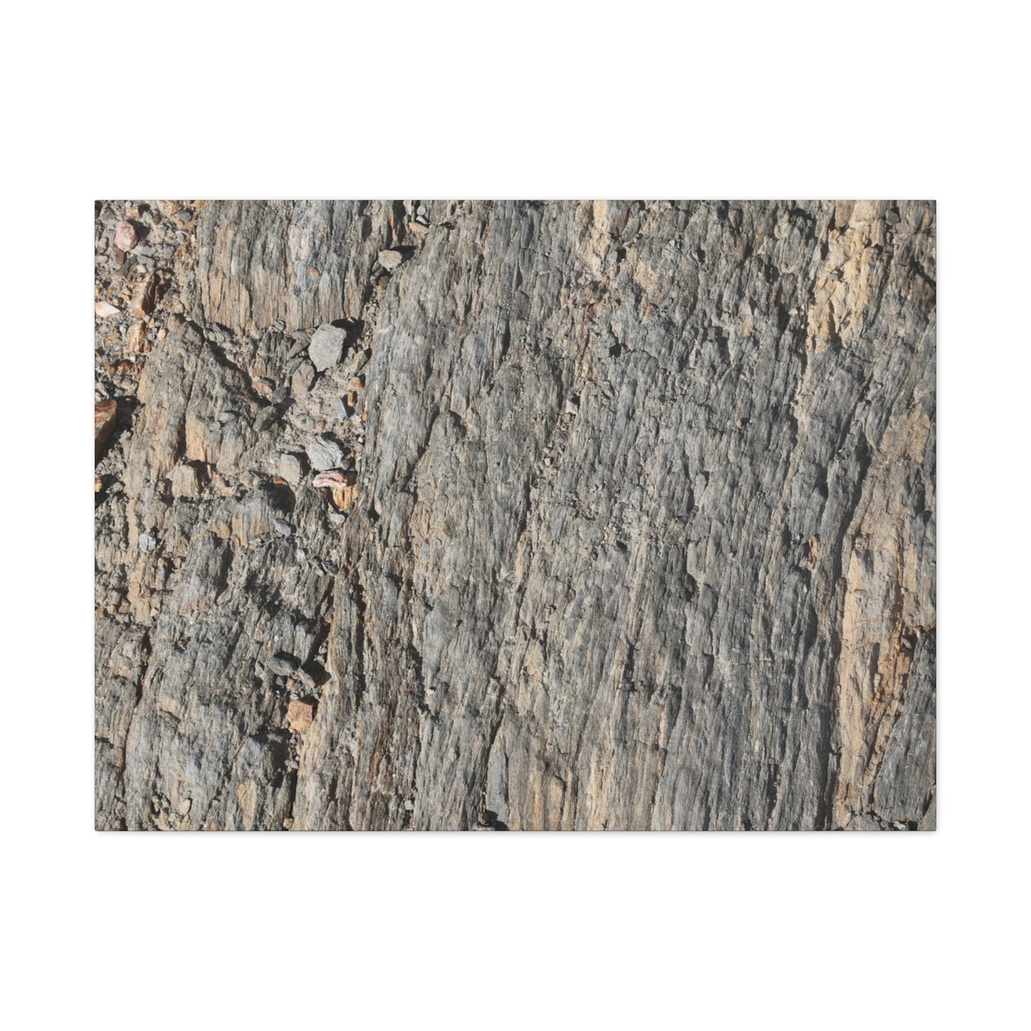 Bark Echoes - Unique Frameless Canvas Wall Art
