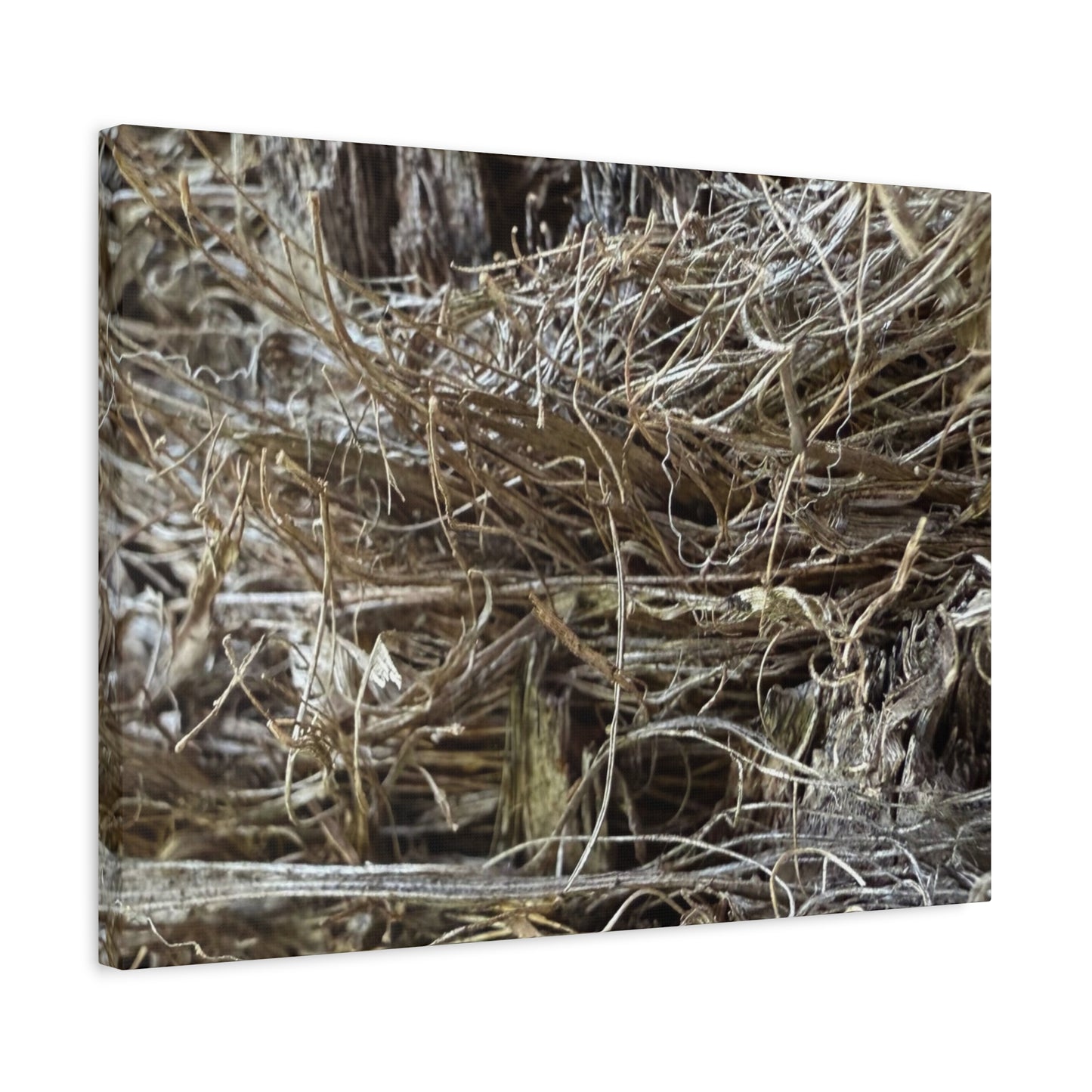 Whispers in Dry Grass - Unique Frameless Canvas Wall Art