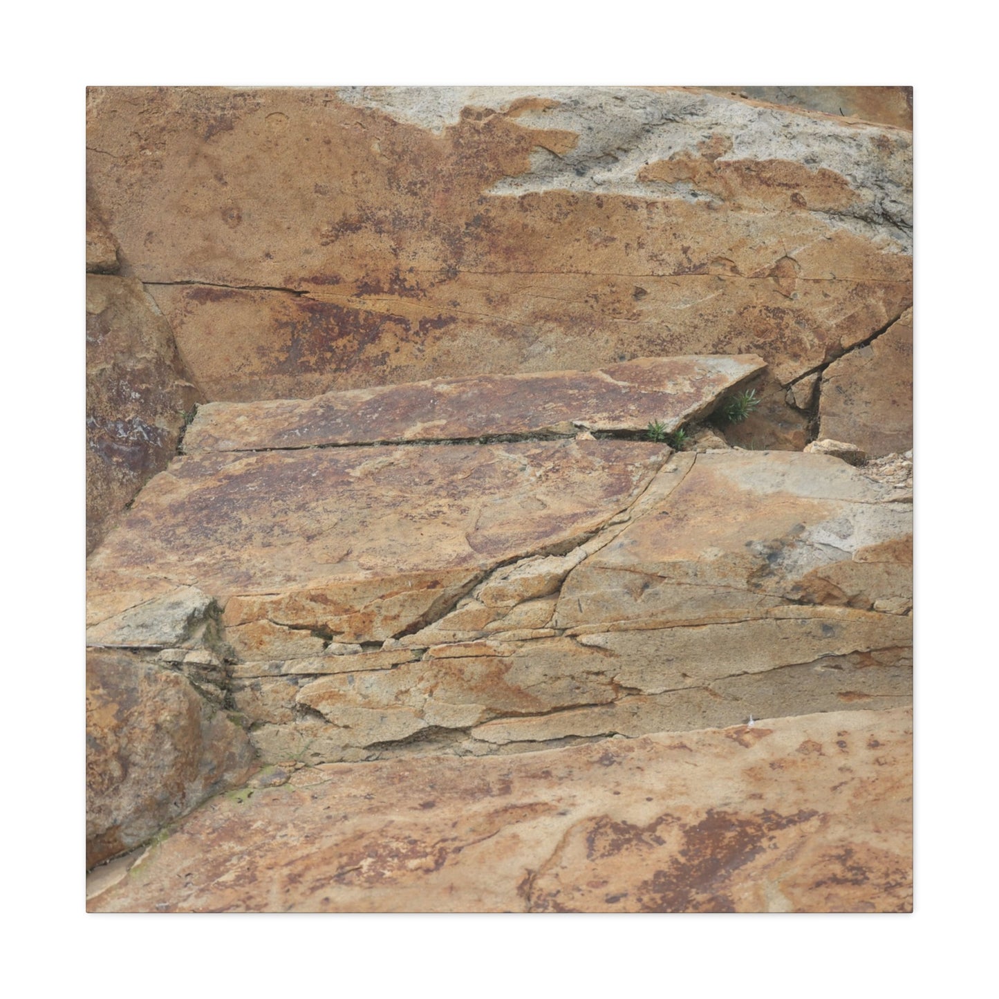 Rocky Terrain - Unique Frameless Canvas Wall Art