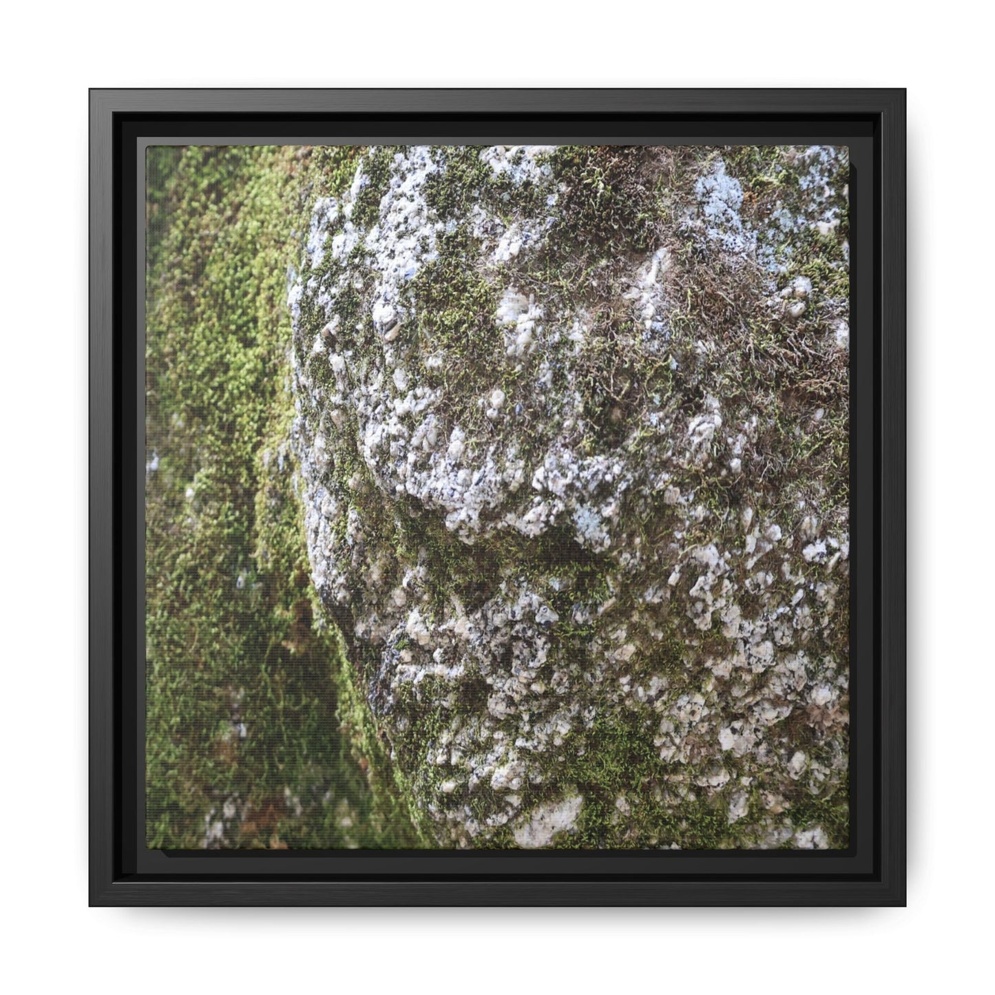 Lichen Landscape - Unique Stretched Canvas Wall Art