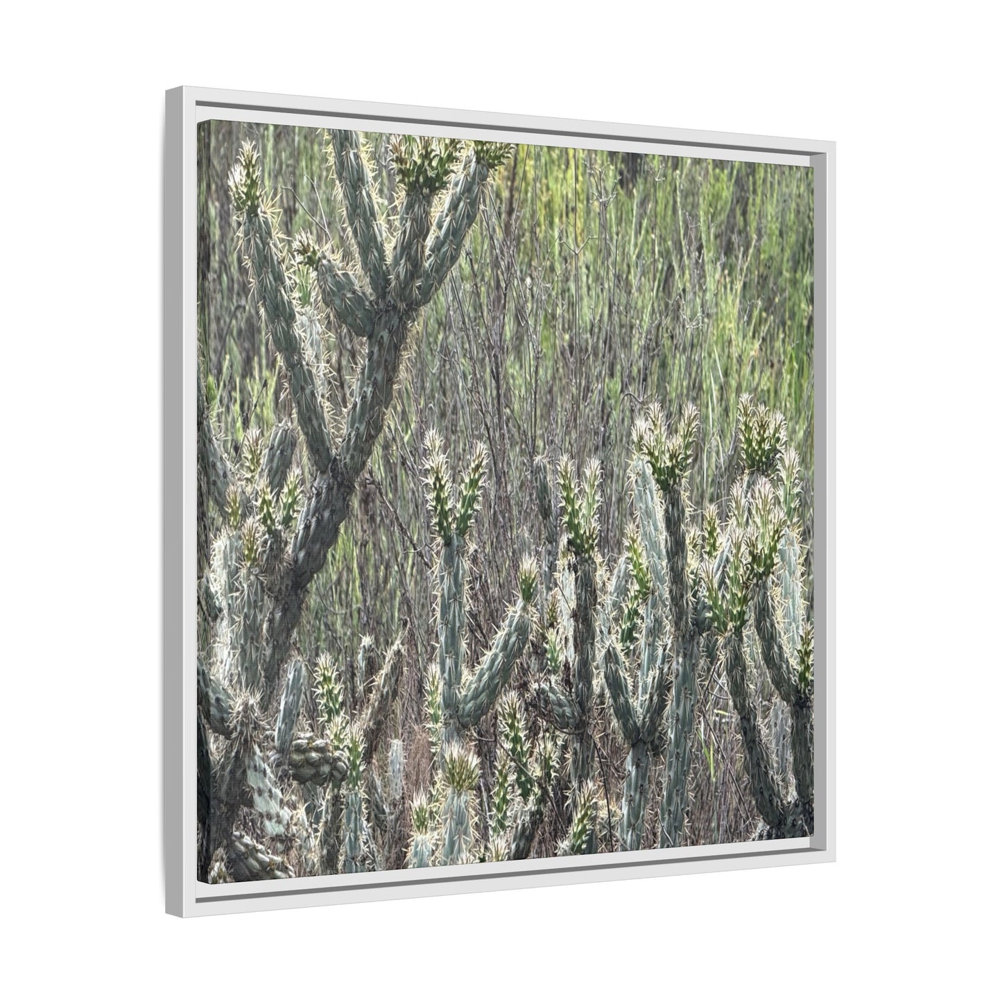 Prickly Paradise - Unique Stretched Canvas Wall Art
