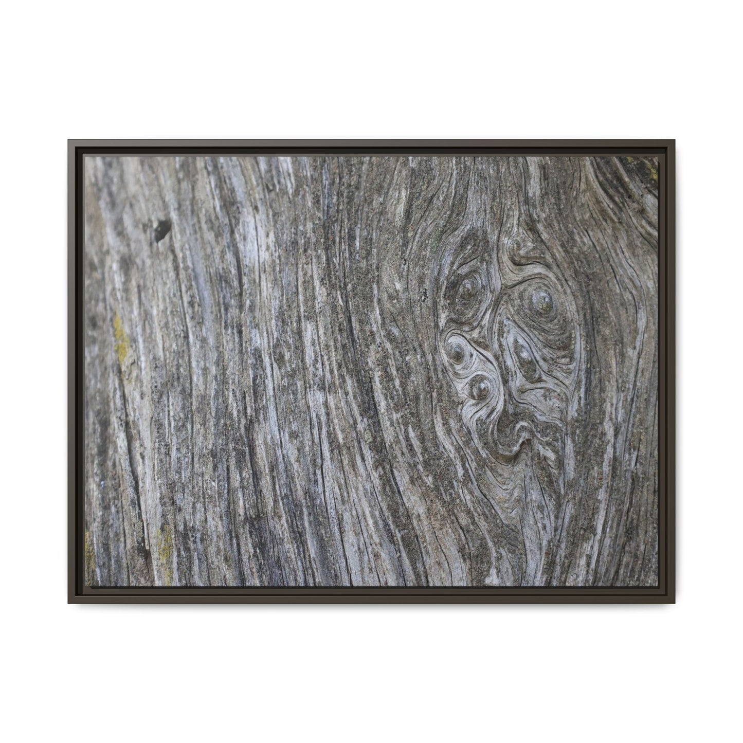 Eternal Knots - Unique Stretched Canvas Wall Art