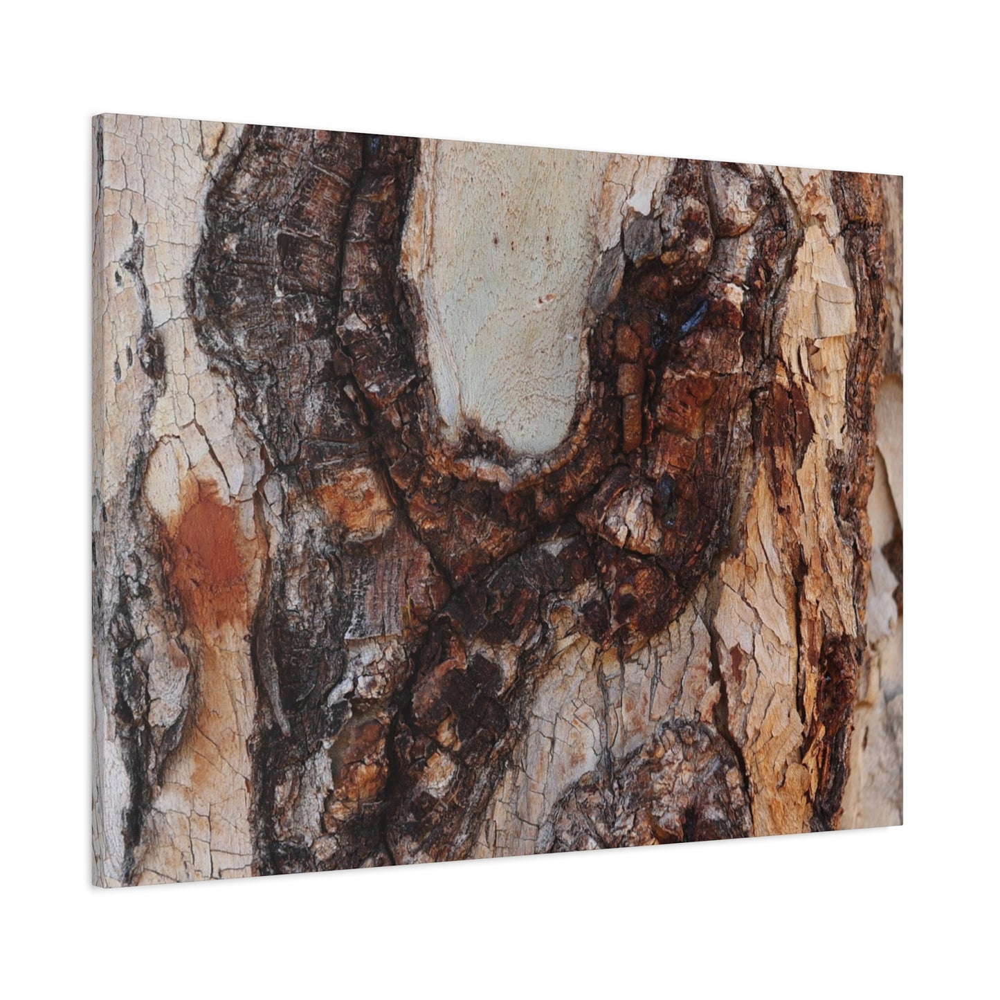 Arboreal Echoes - Unique Frameless Canvas Wall Art