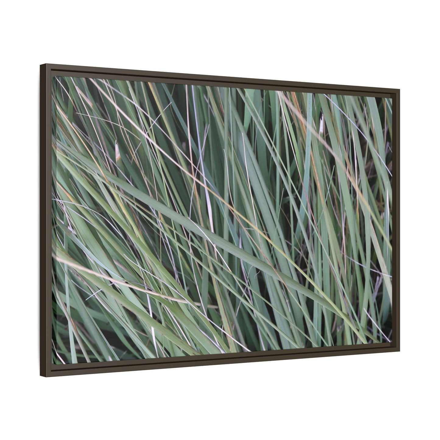 Grassland Symphony - Unique Stretched Canvas Wall Art