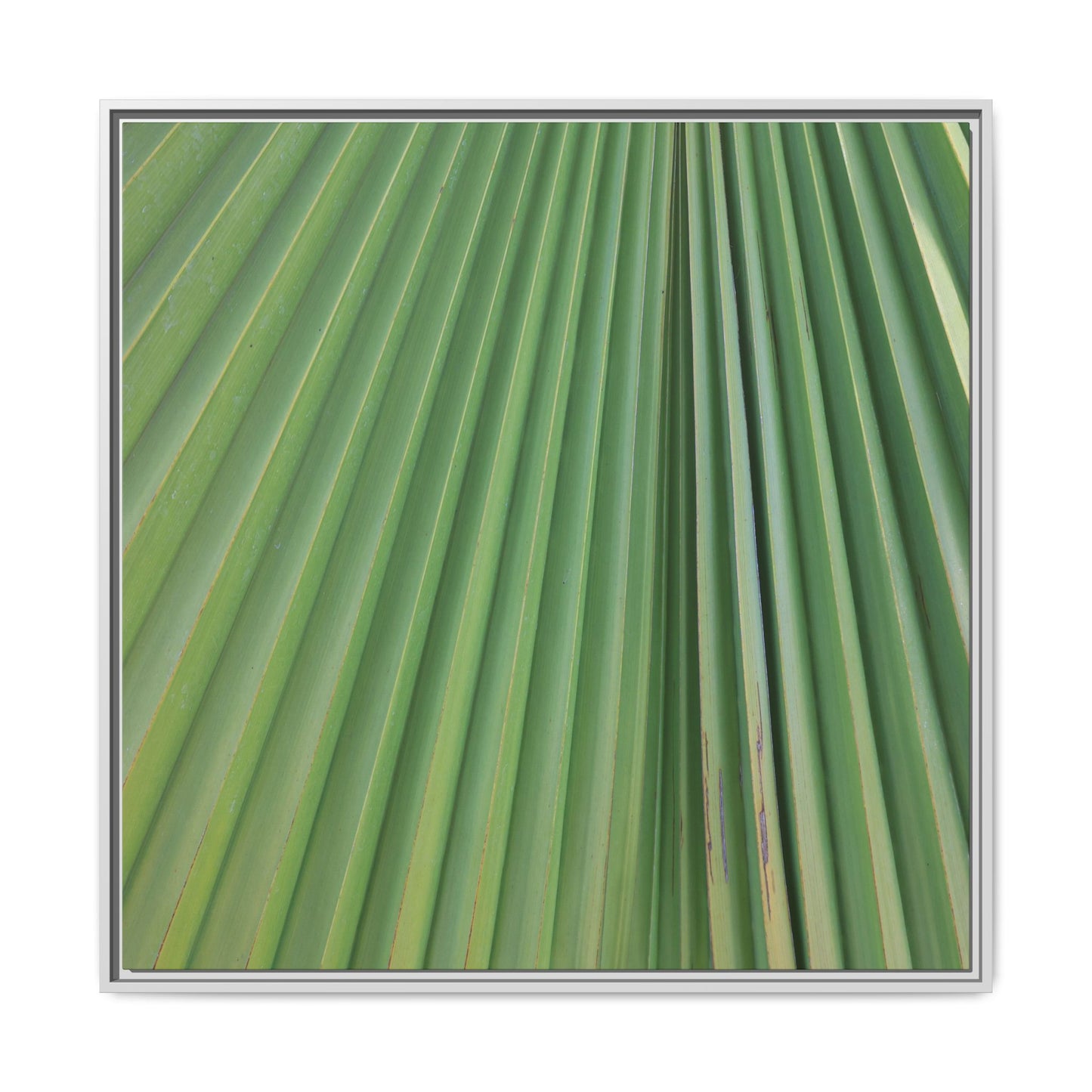 Emerald Rays - Unique Stretched Canvas Wall Art