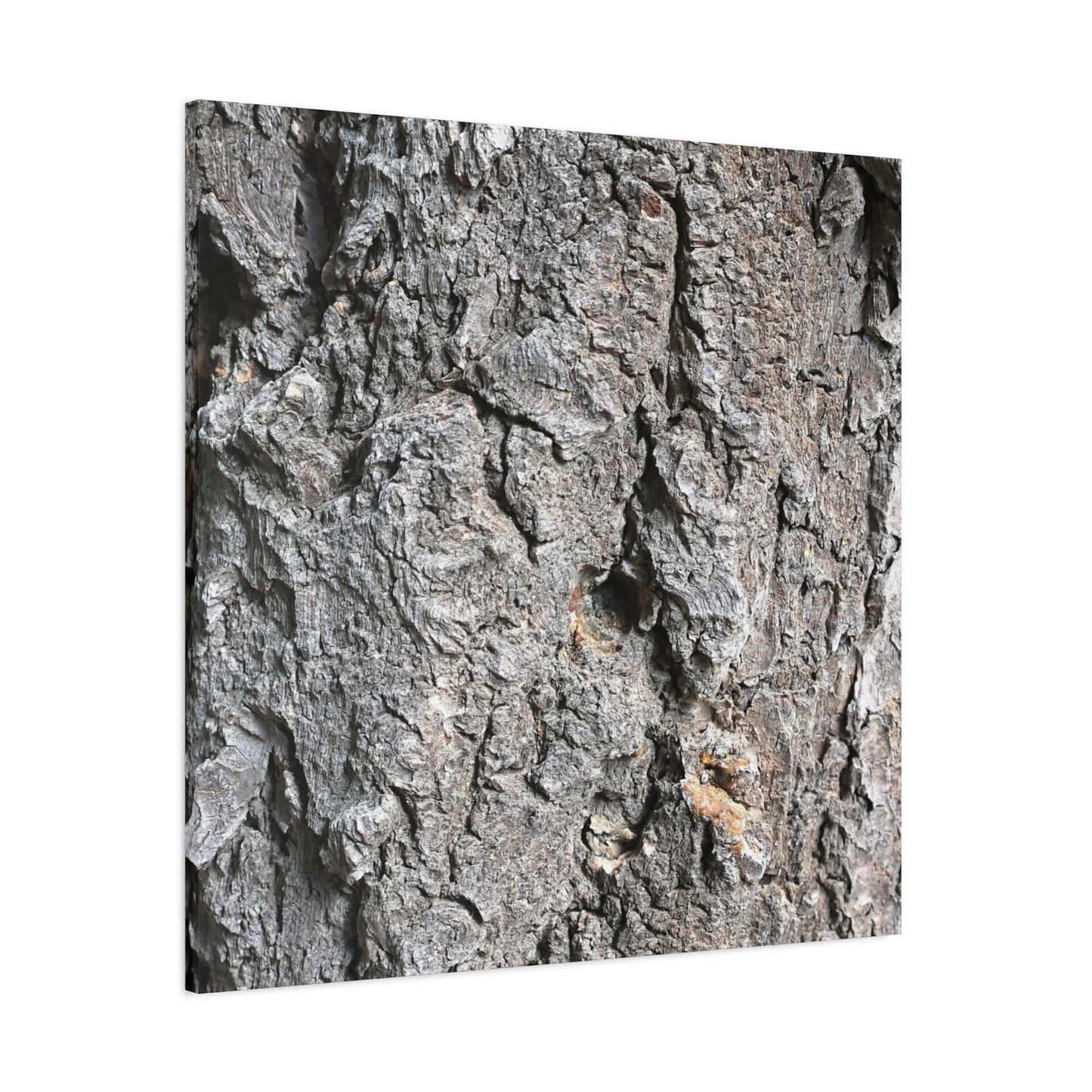 Elemental Canvas - Unique Frameless Canvas Wall Art