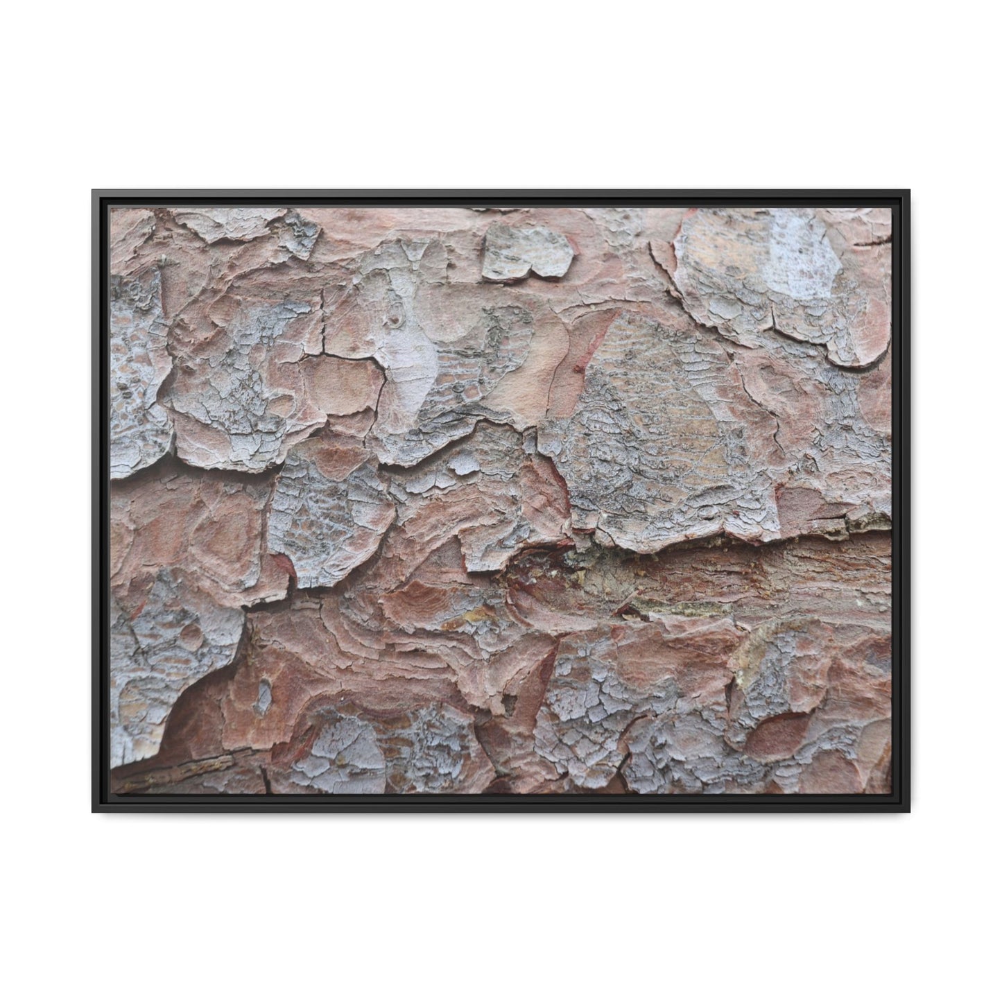 Flaking Serenity - Unique Stretched Canvas Wall Art