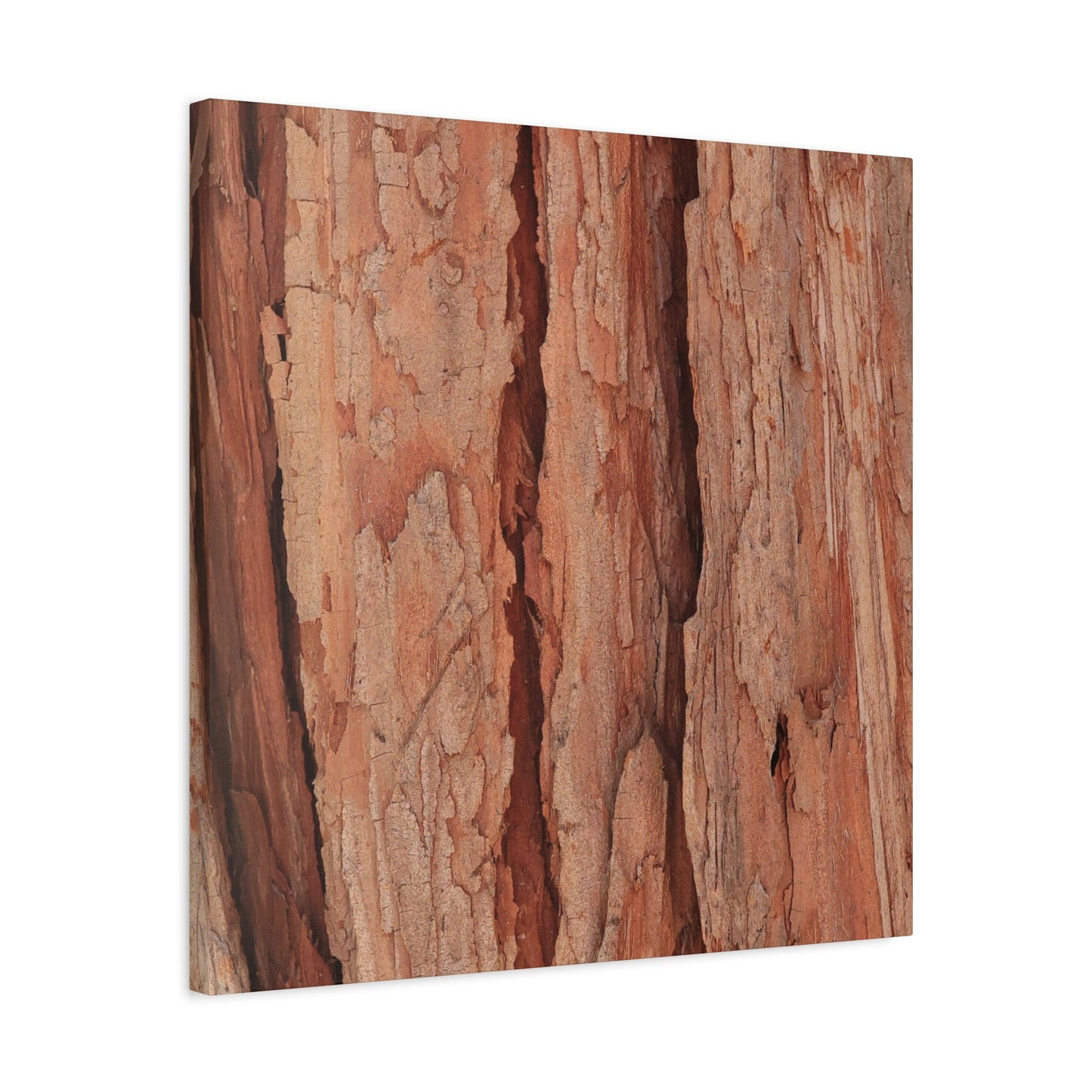 Bark Layers of Time - Unique Frameless Canvas Wall Art