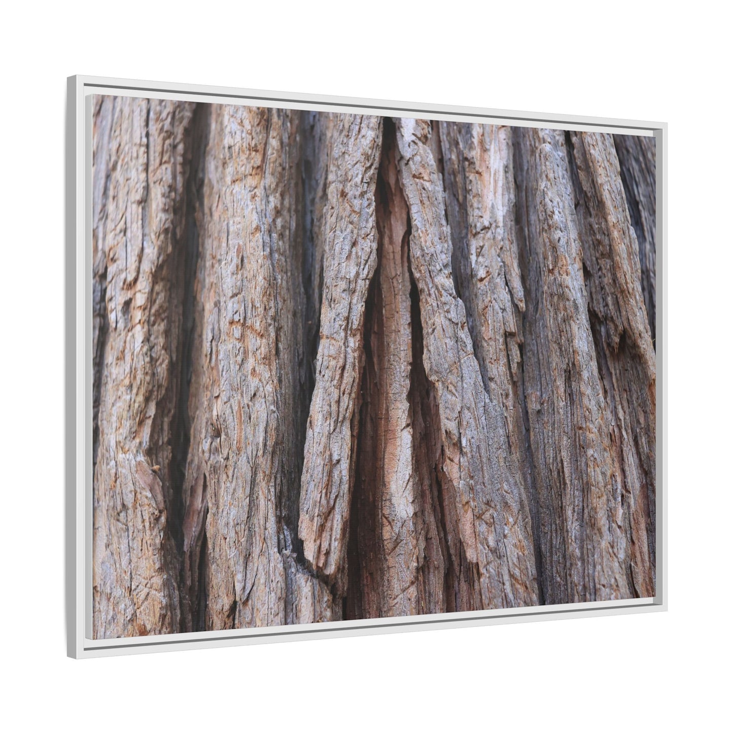 Nature's Sculpture - Unique Stretched Canvas Wall Art