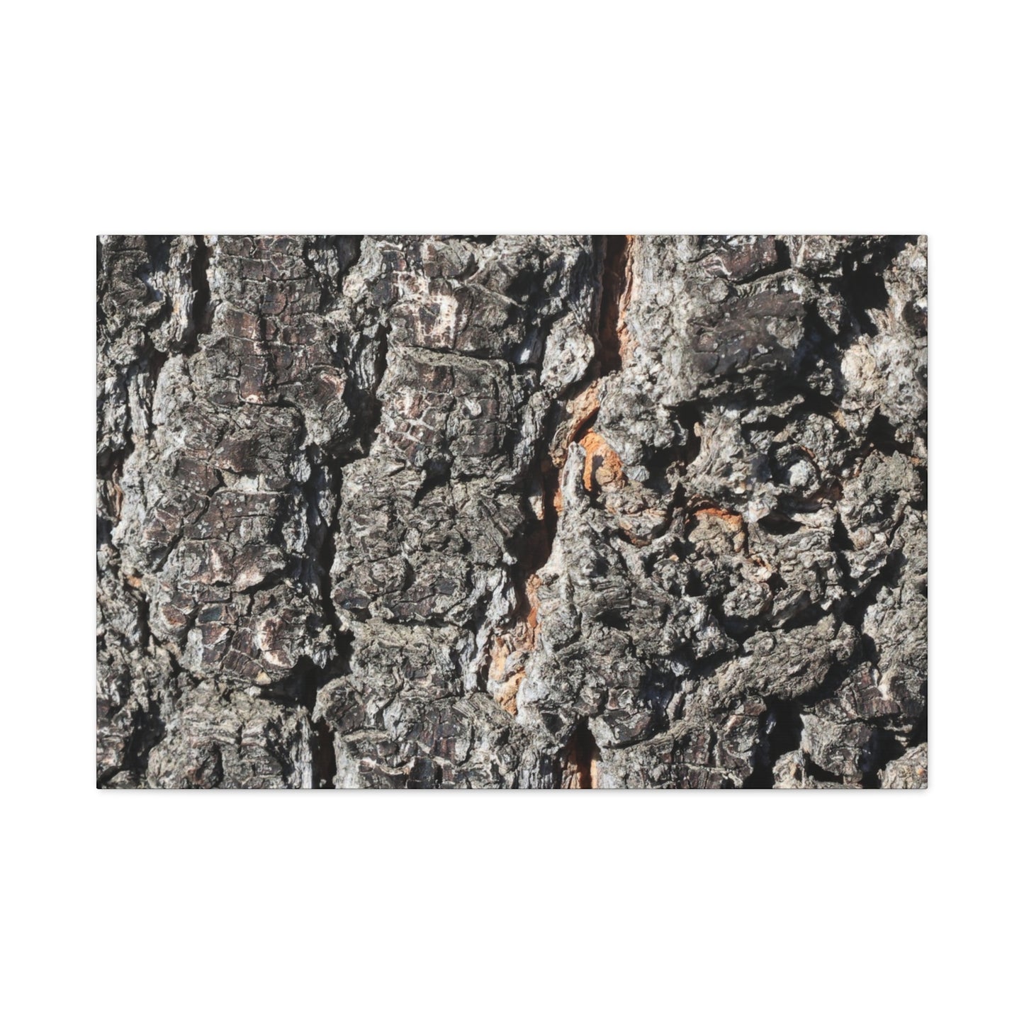 Arboreal Skin - Unique Frameless Canvas Wall Art