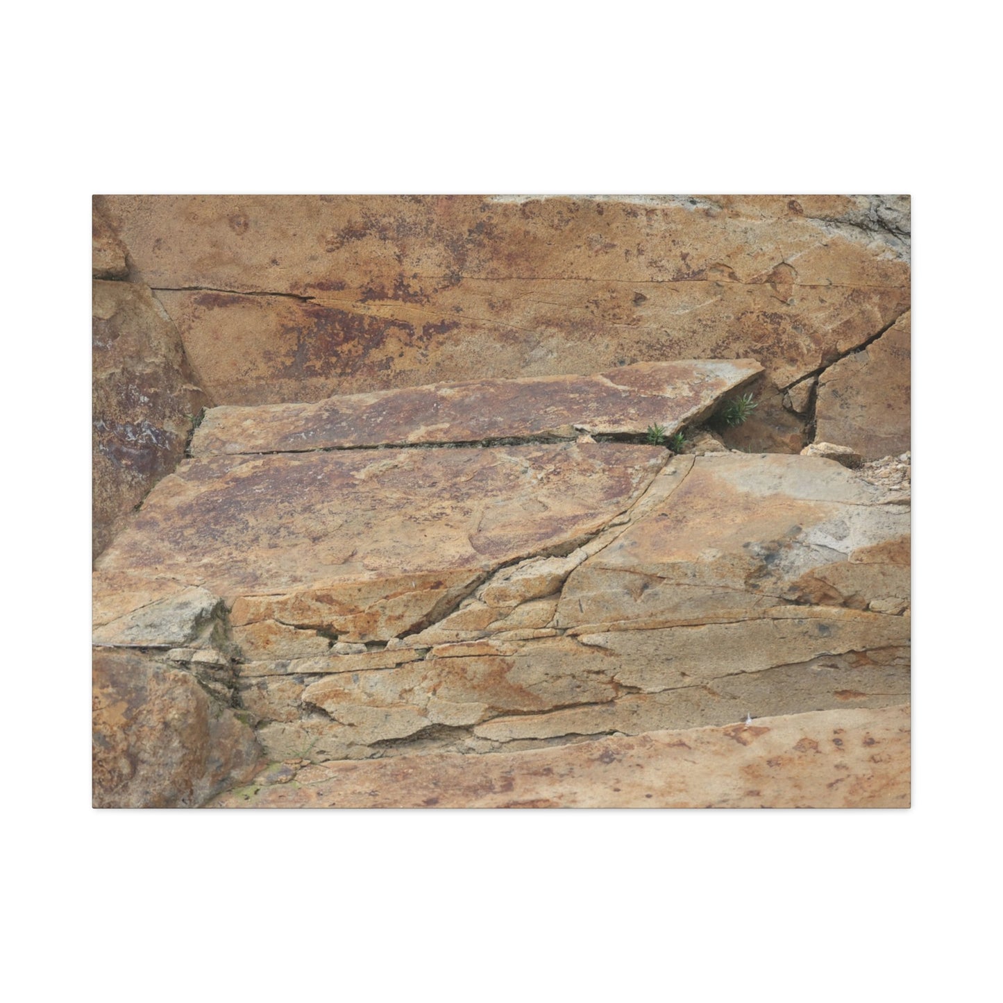 Rocky Terrain - Unique Frameless Canvas Wall Art