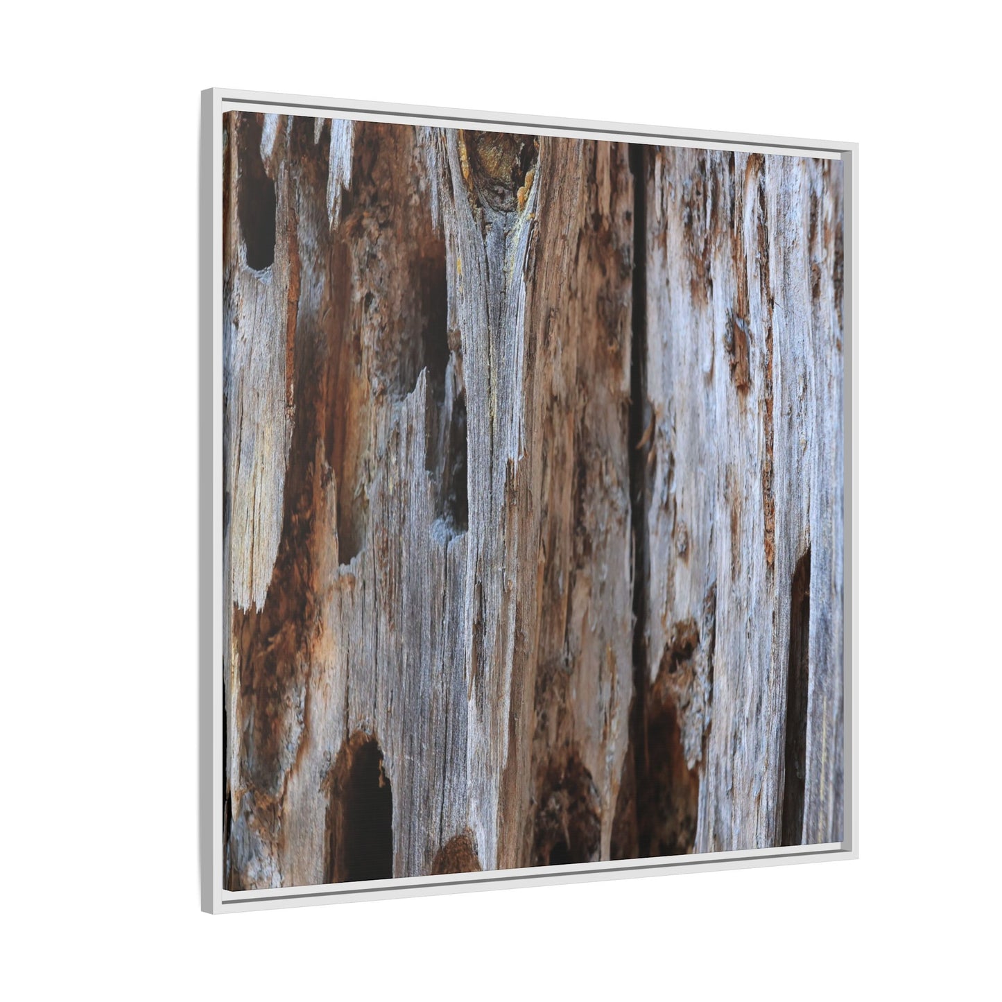 Decaying Splendor - Unique Stretched Canvas Wall Art