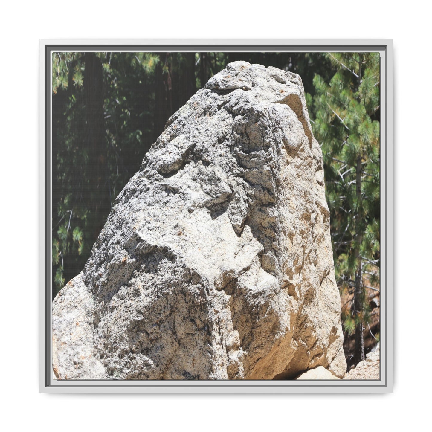 Stone's Silent Whisper - Unique Stretched Canvas Wall Art