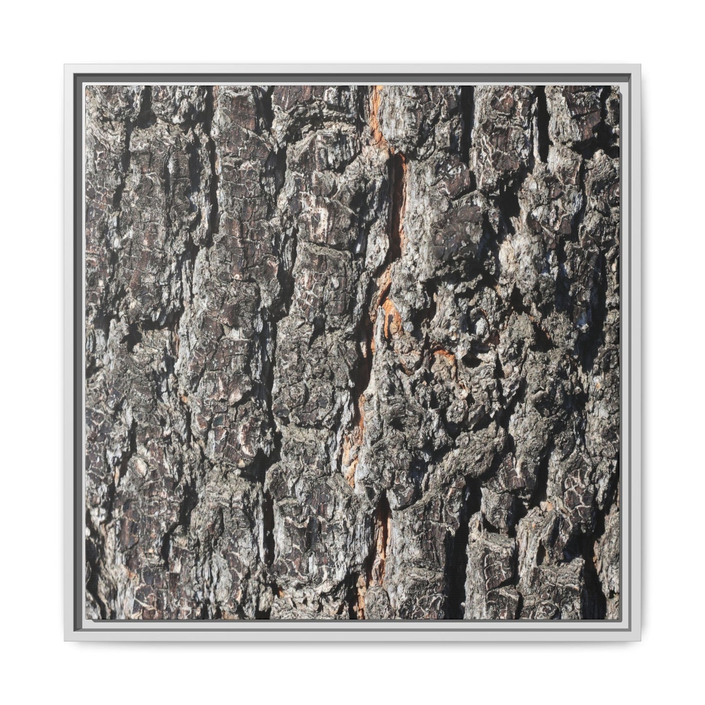 Aged Beauty - Unique Stretched Canvas Wall Art