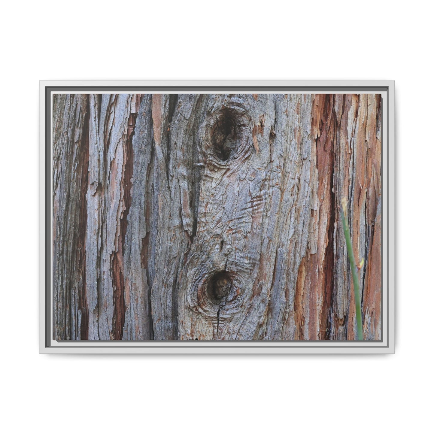 Knotty Nature - Unique Stretched Canvas Wall Art