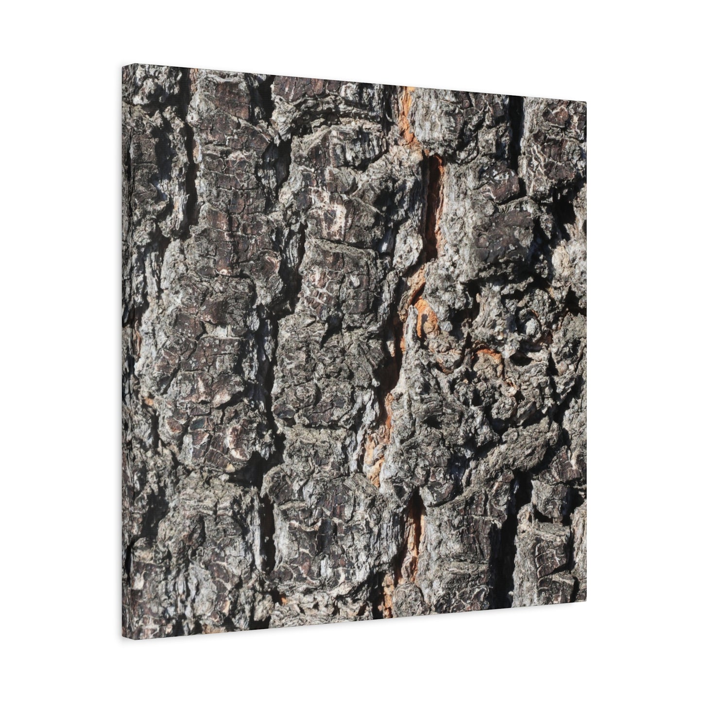 Arboreal Skin - Unique Frameless Canvas Wall Art