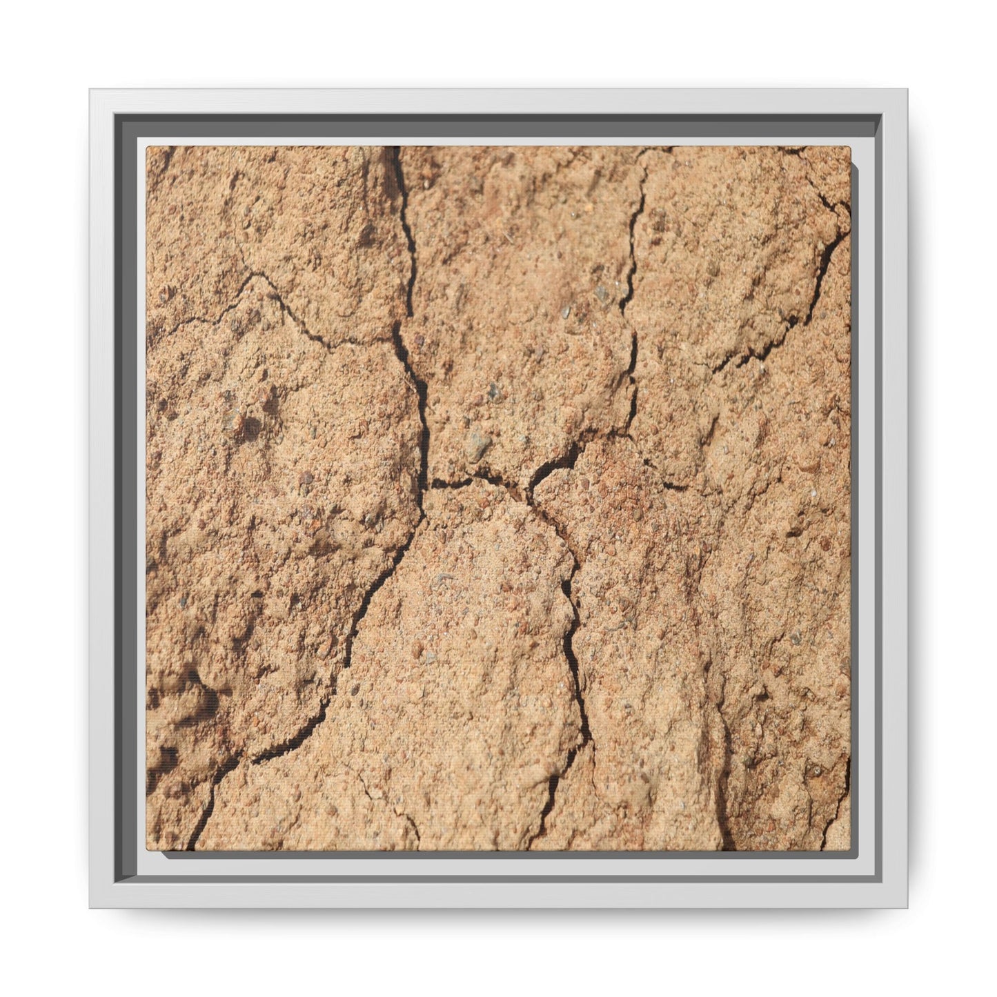 Parched Land - Unique Stretched Canvas Wall Art