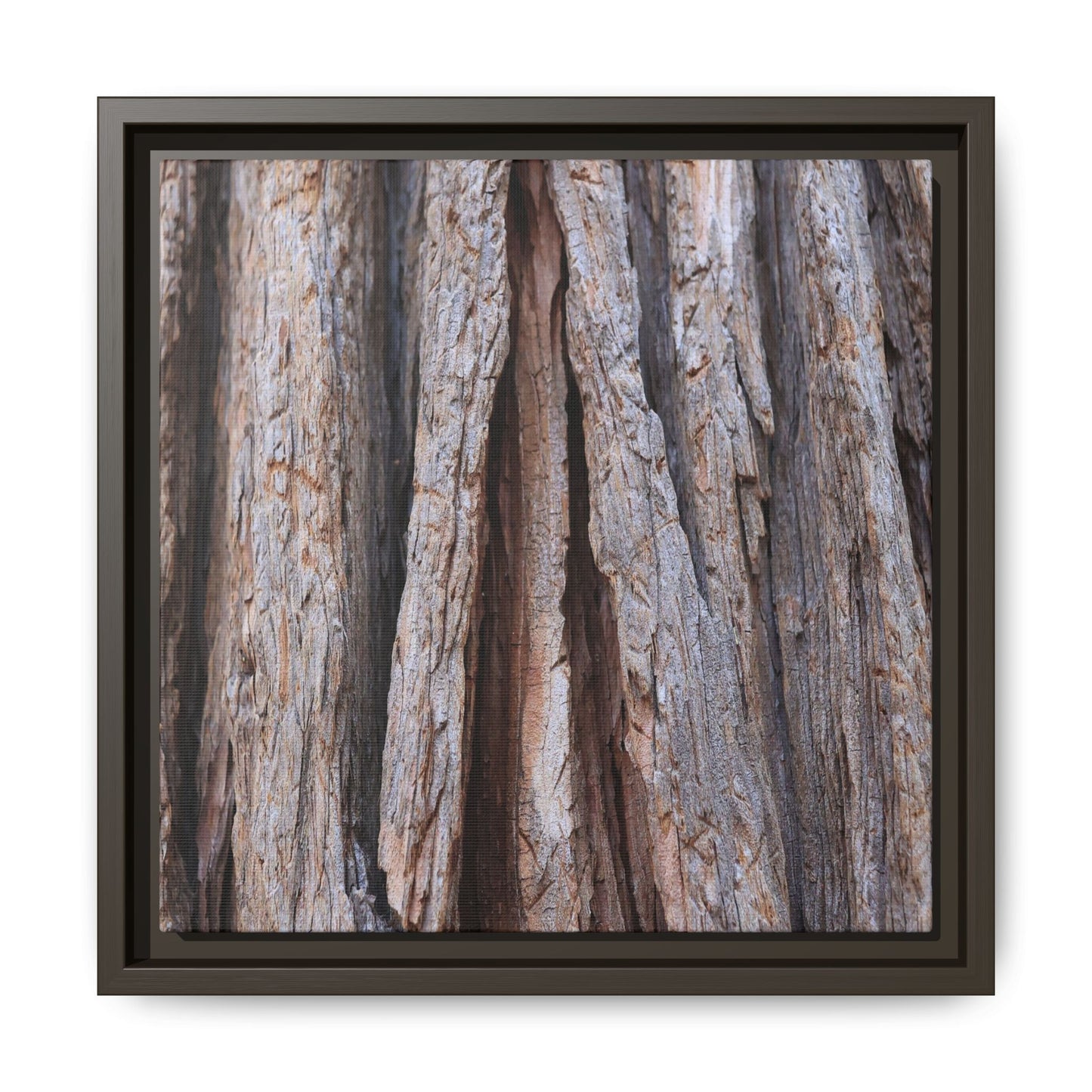 Nature's Sculpture - Unique Stretched Canvas Wall Art