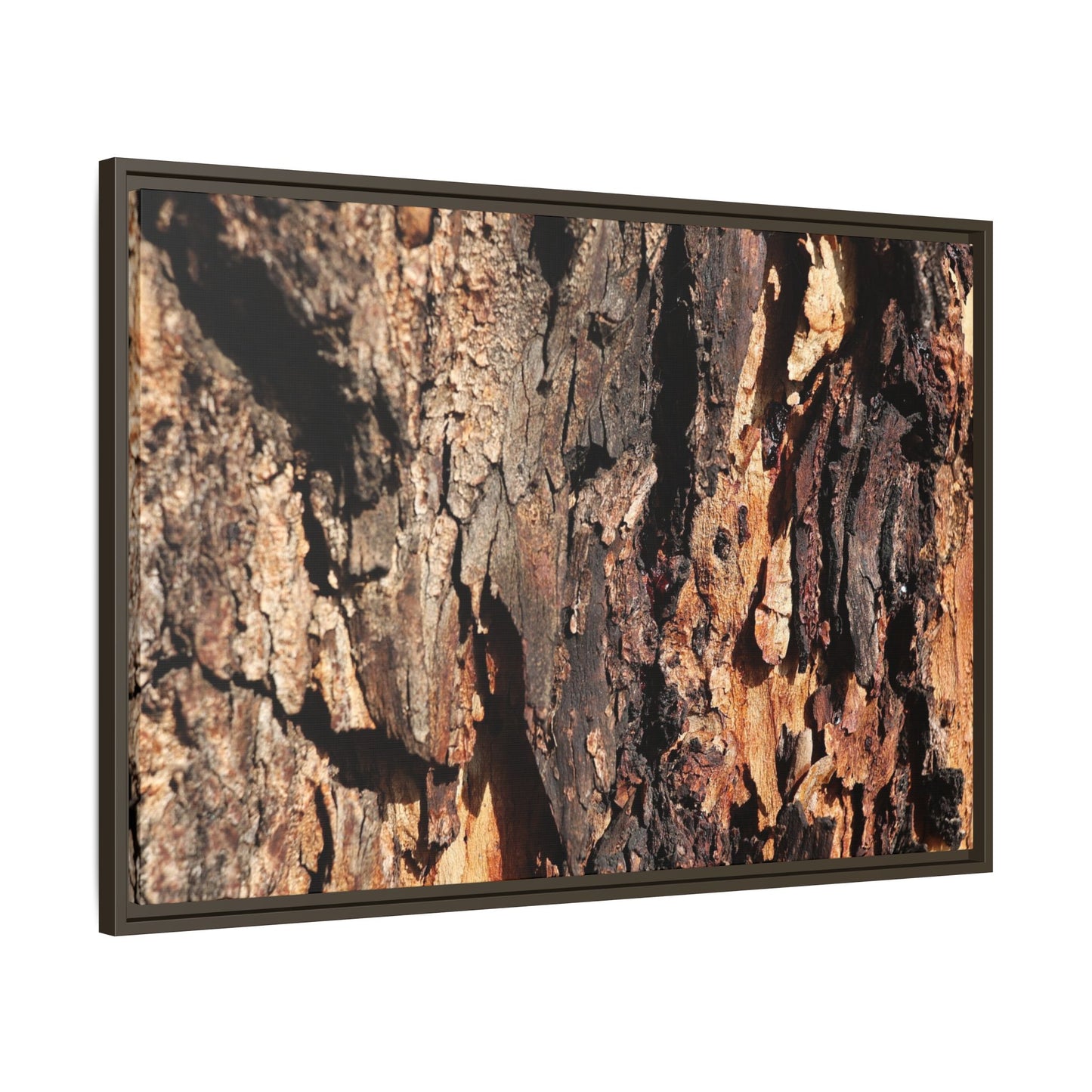 Rugged Beauty - Unique Stretched Canvas Wall Art