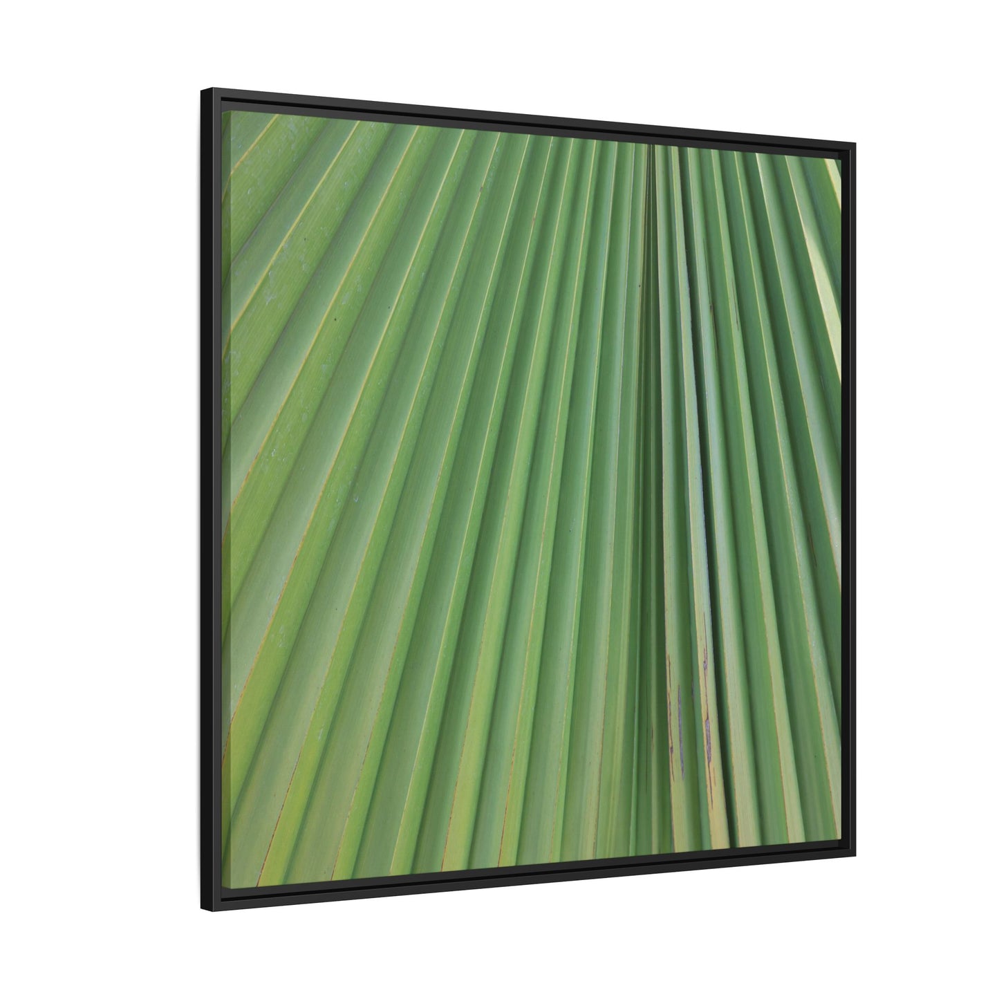 Emerald Rays - Unique Stretched Canvas Wall Art