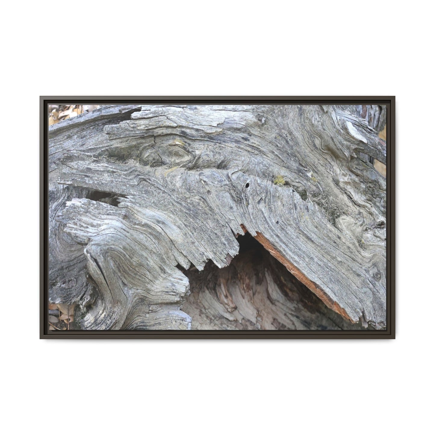 Driftwood Dreams - Unique Stretched Canvas Wall Art