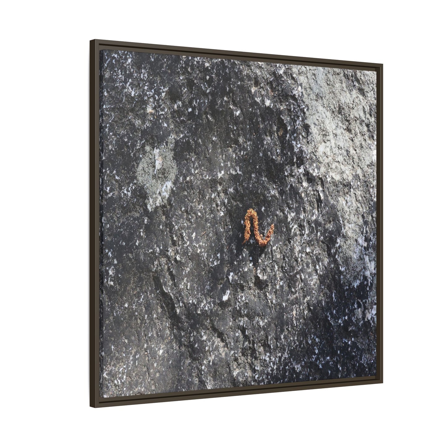 Volcanic Ash and Copper - Unique Stretched Canvas Wall Art