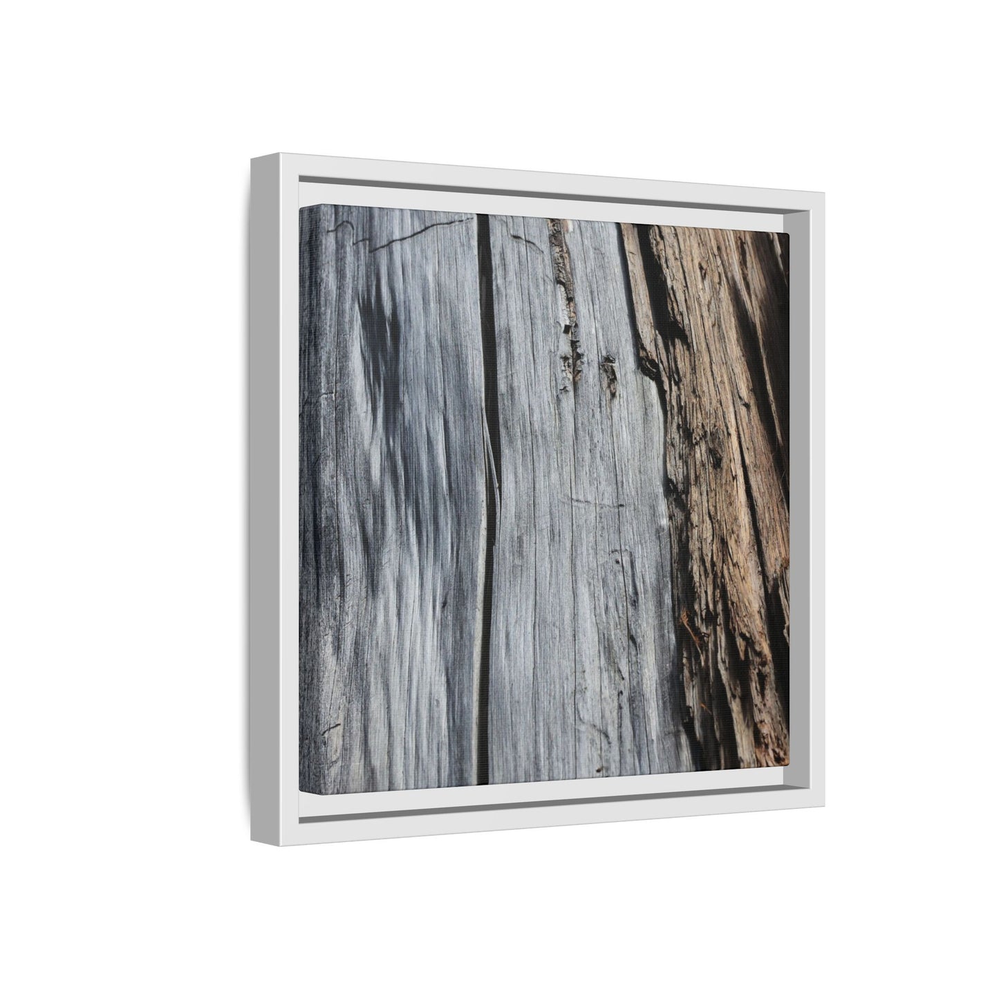 Wood's Lament - Unique Stretched Canvas Wall Art