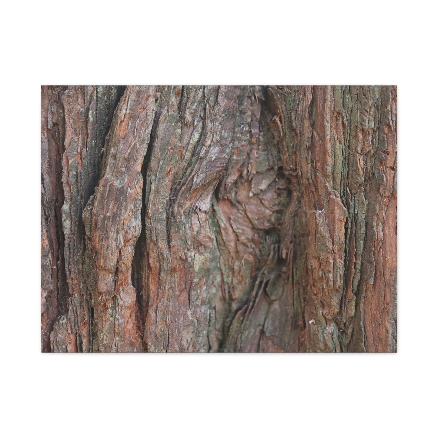Rustic Embrace - Unique Frameless Canvas Wall Art