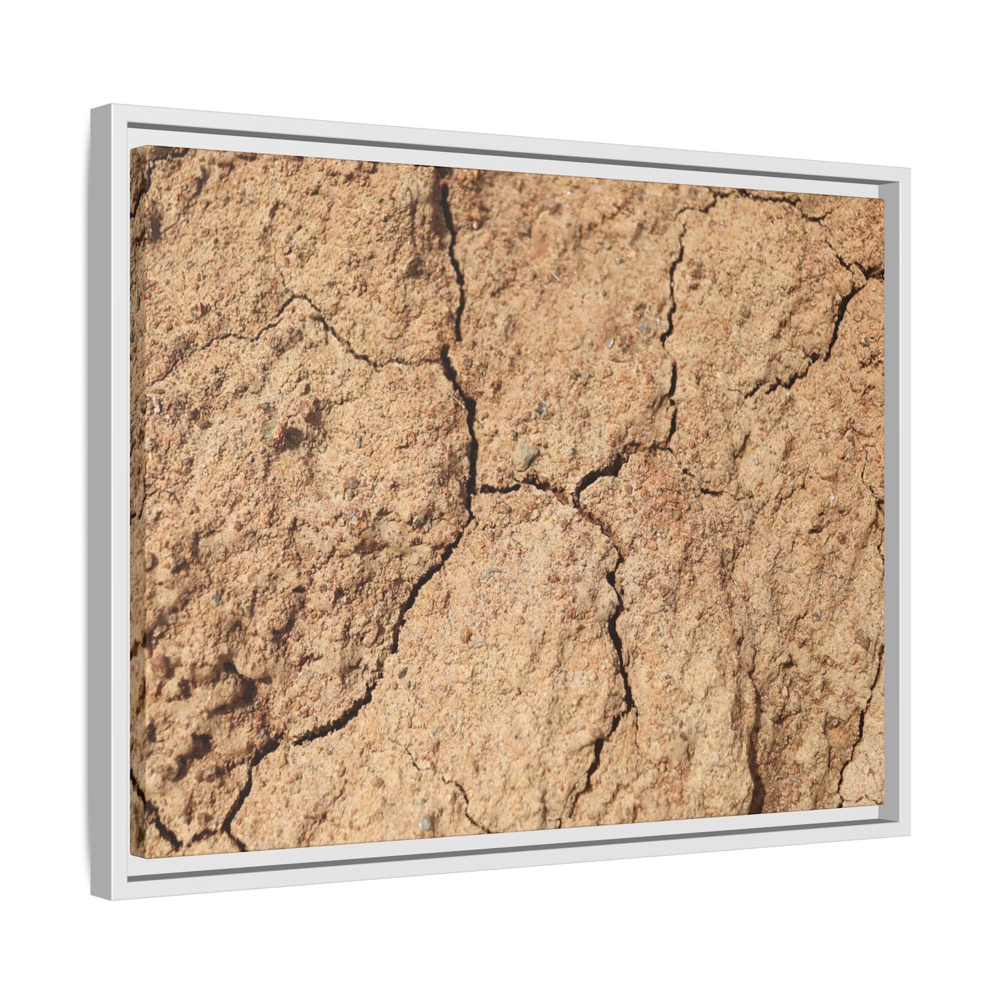 Parched Land - Unique Stretched Canvas Wall Art