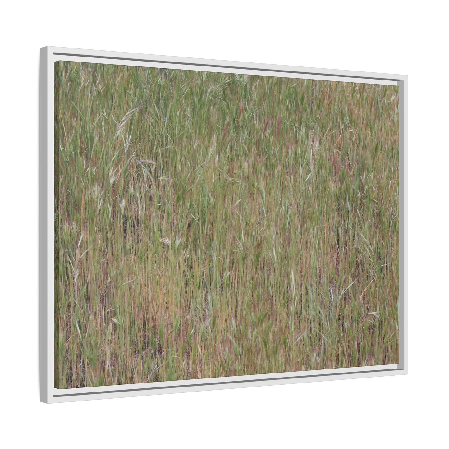 Field of Dreams - Unique Stretched Canvas Wall Art