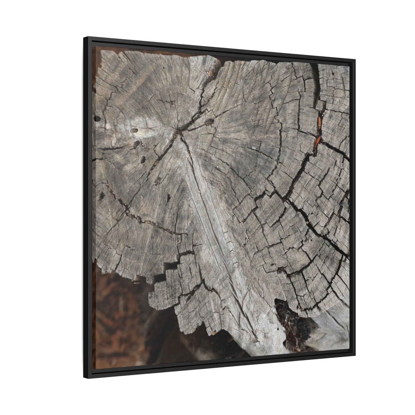 Time's Signature - Unique Stretched Canvas Wall Art