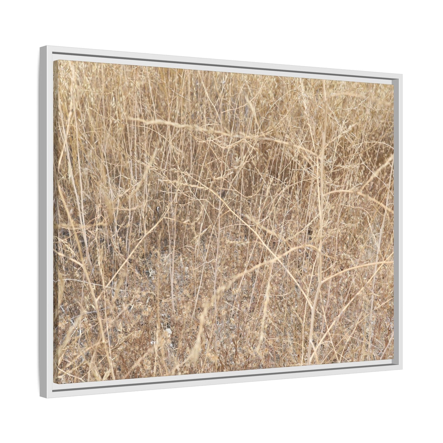 Golden Stalks - Unique Stretched Canvas Wall Art