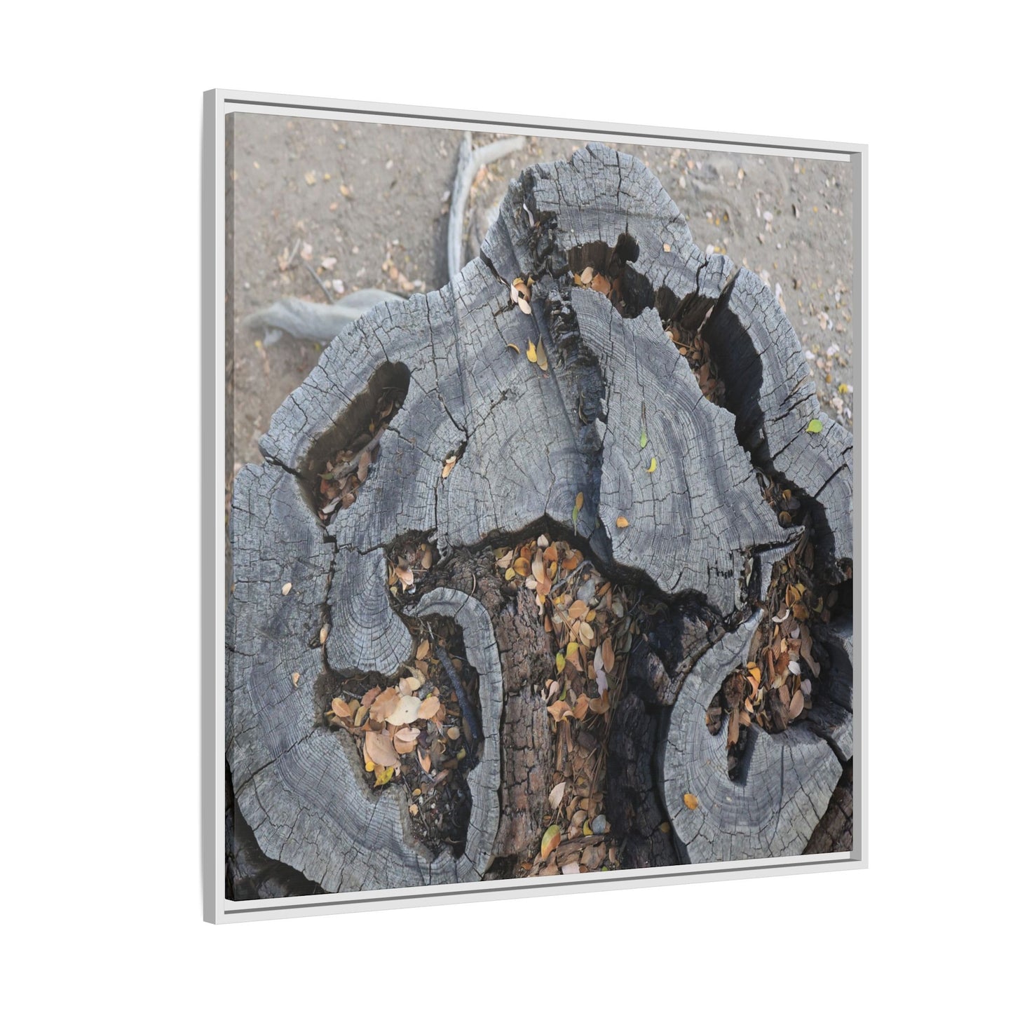Time's Fractal Memory - Unique Stretched Canvas Wall Art