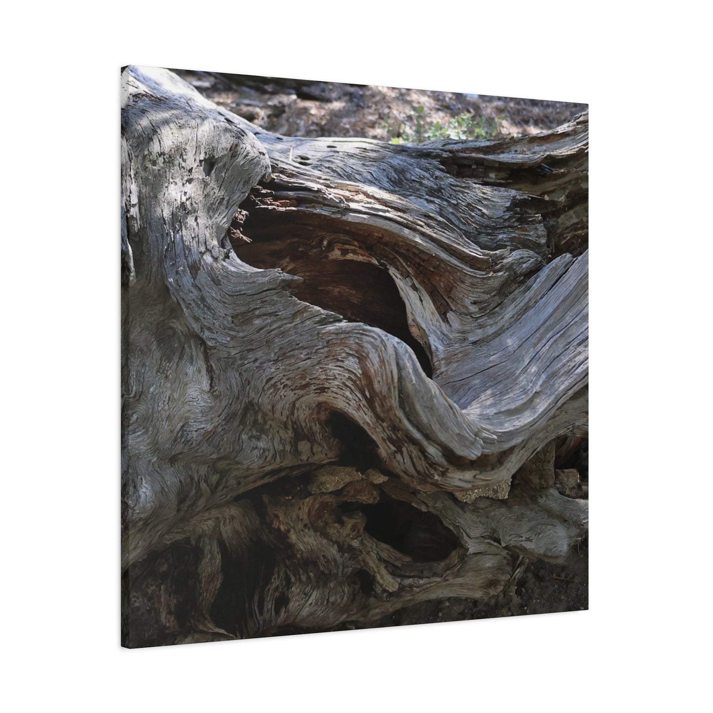 Twisted Fate - Unique Frameless Canvas Wall Art