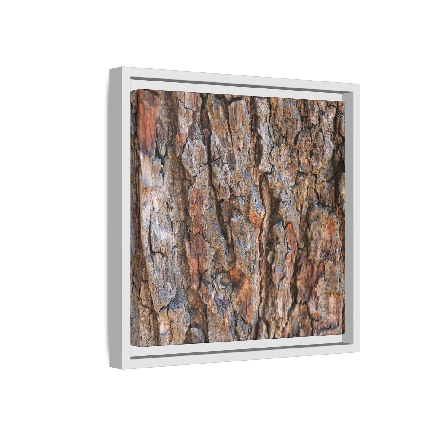 Tree's Timeworn Tale - Unique Stretched Canvas Wall Art