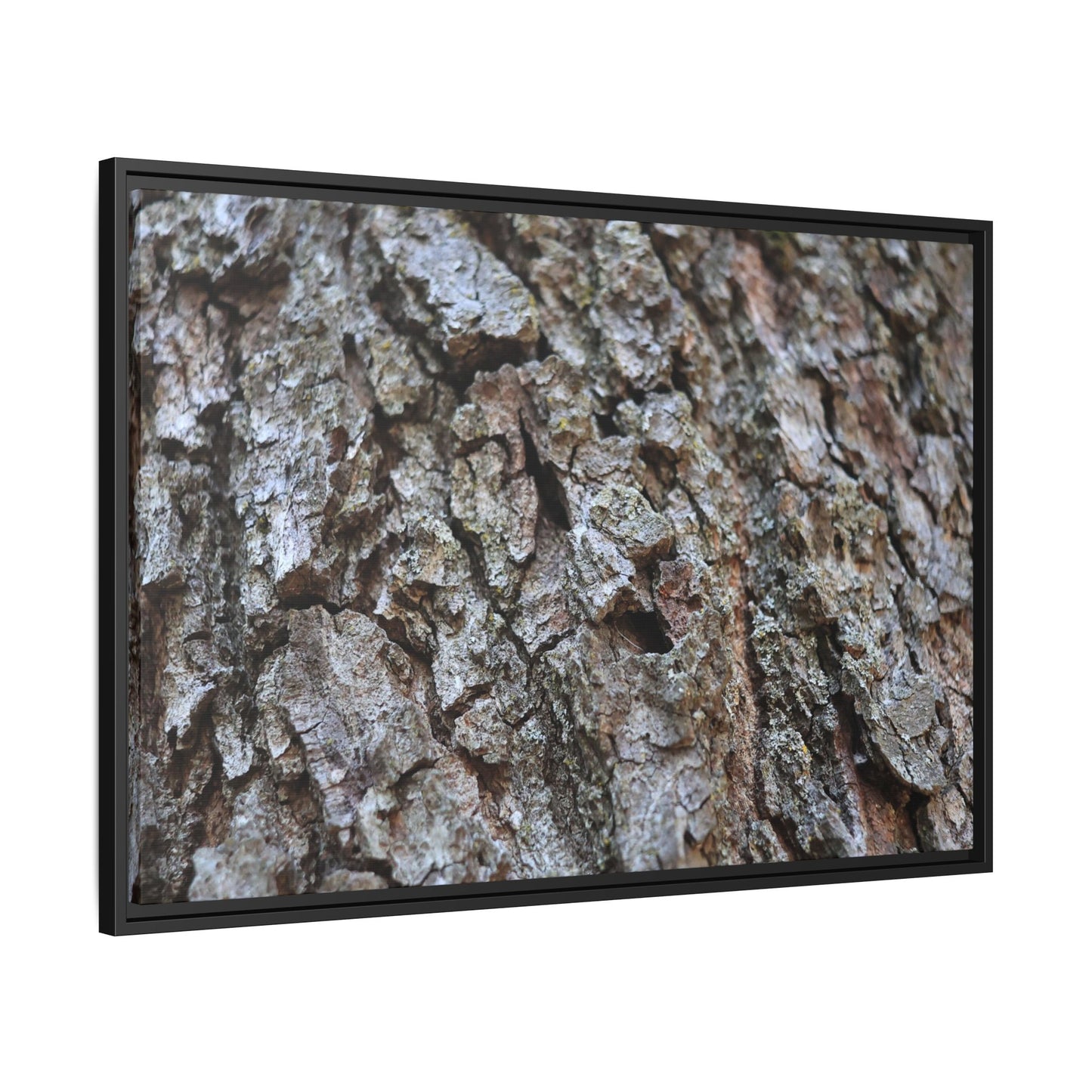 Woodland Canvas - Unique Stretched Canvas Wall Art