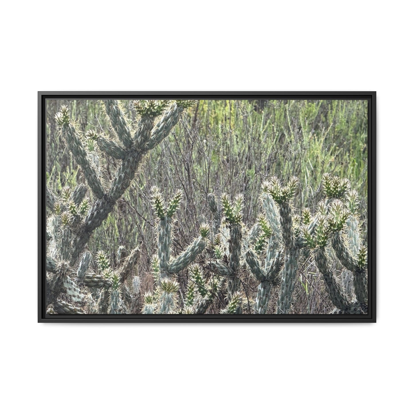 Prickly Paradise - Unique Stretched Canvas Wall Art