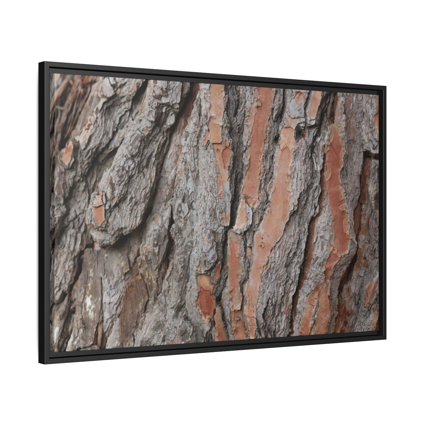 Woodland Layers - Unique Stretched Canvas Wall Art