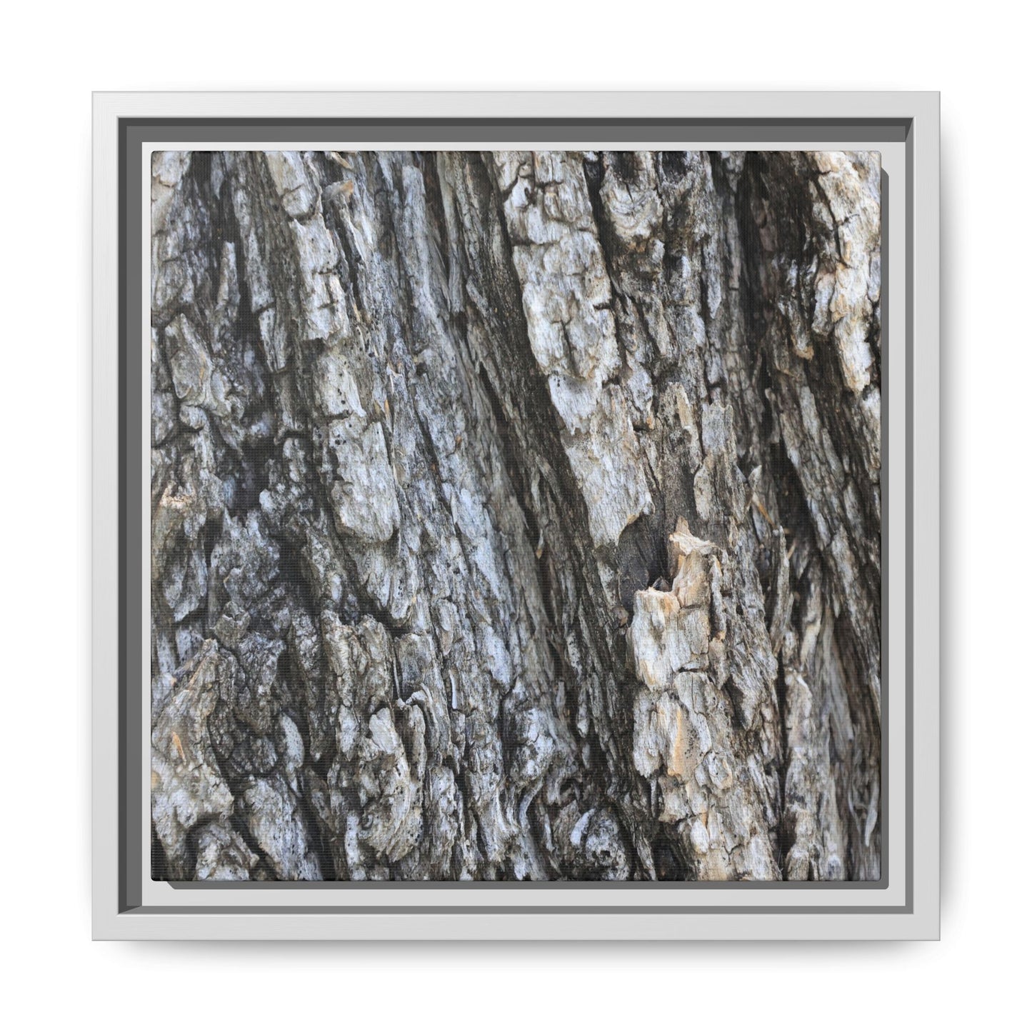 Twisted Textures - Unique Stretched Canvas Wall Art