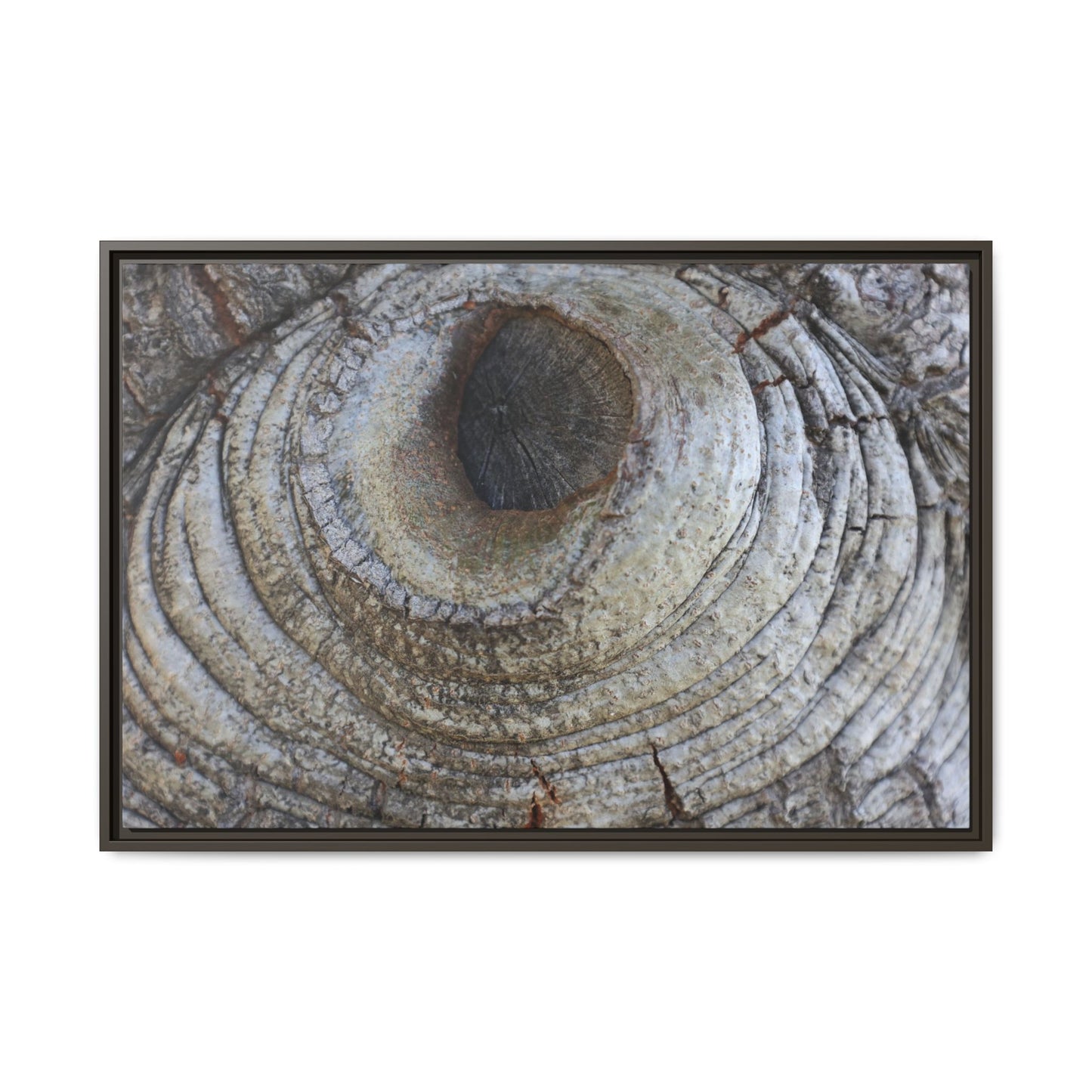 Echoes of Time - Unique Stretched Canvas Wall Art