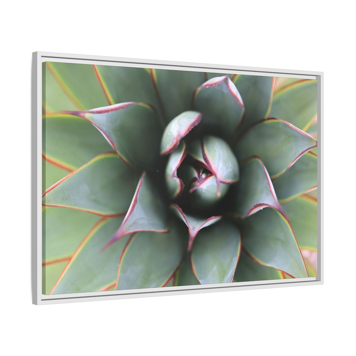 Spiky Elegance - Unique Stretched Canvas Wall Art