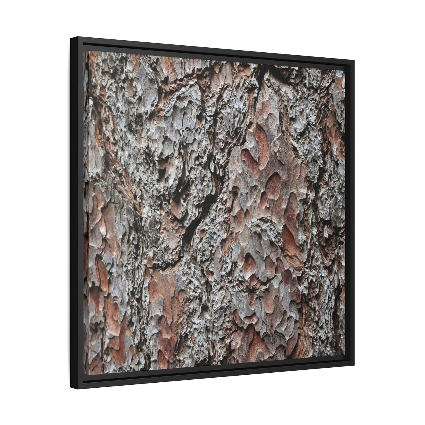 Bark Texture Symphony - Unique Stretched Canvas Wall Art
